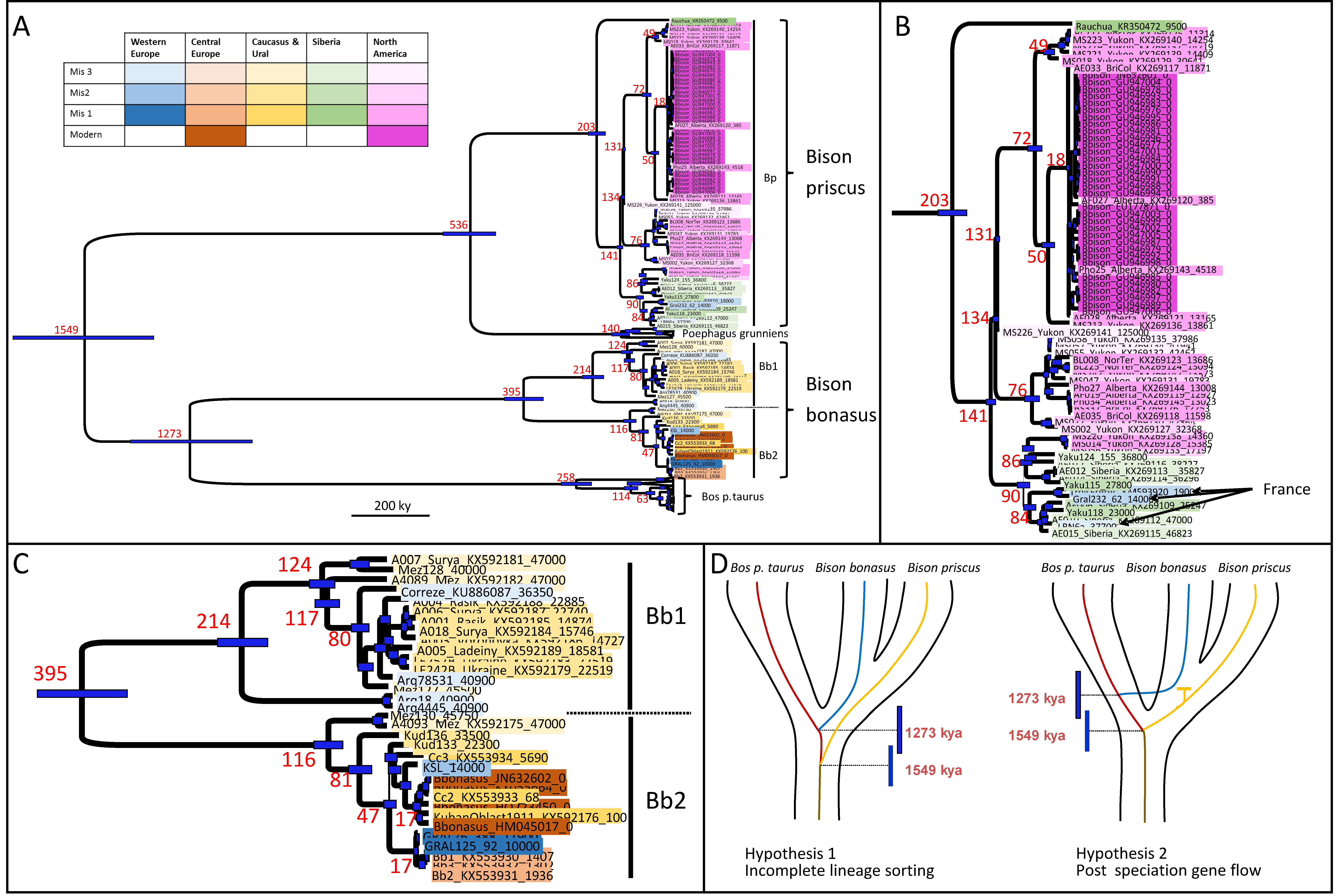 Diversity 10 00065 g001 Diversity 10 00065 g001
