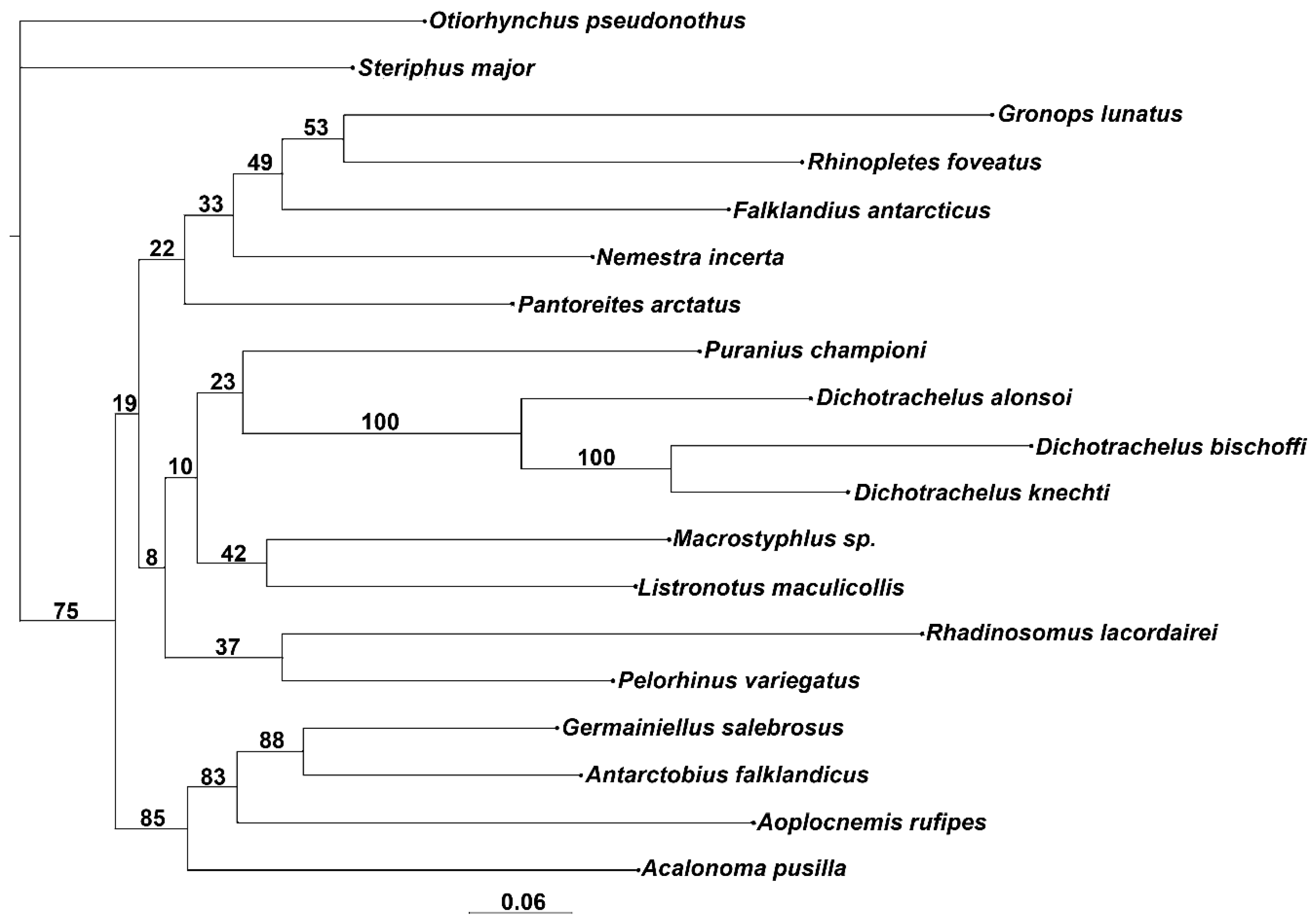 Diversity 10 00066 g008