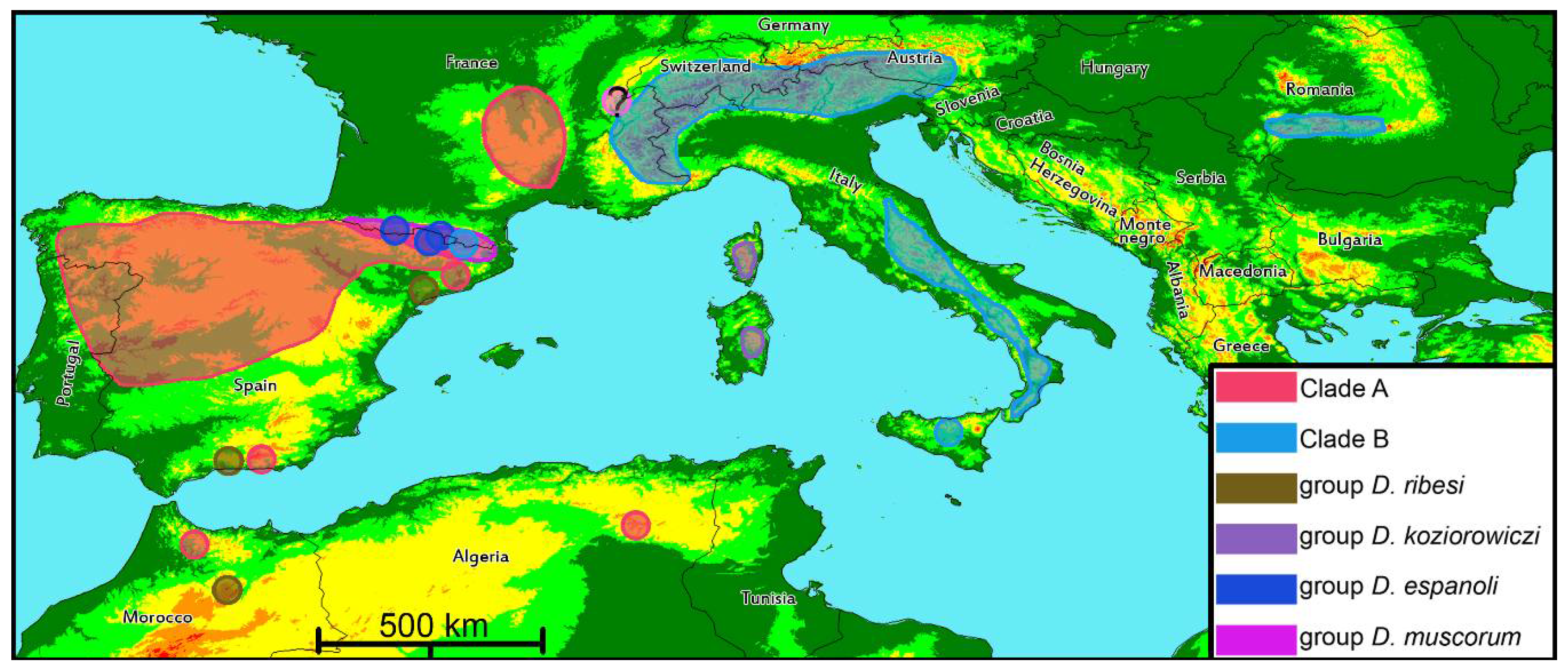 Diversity 10 00066 g009