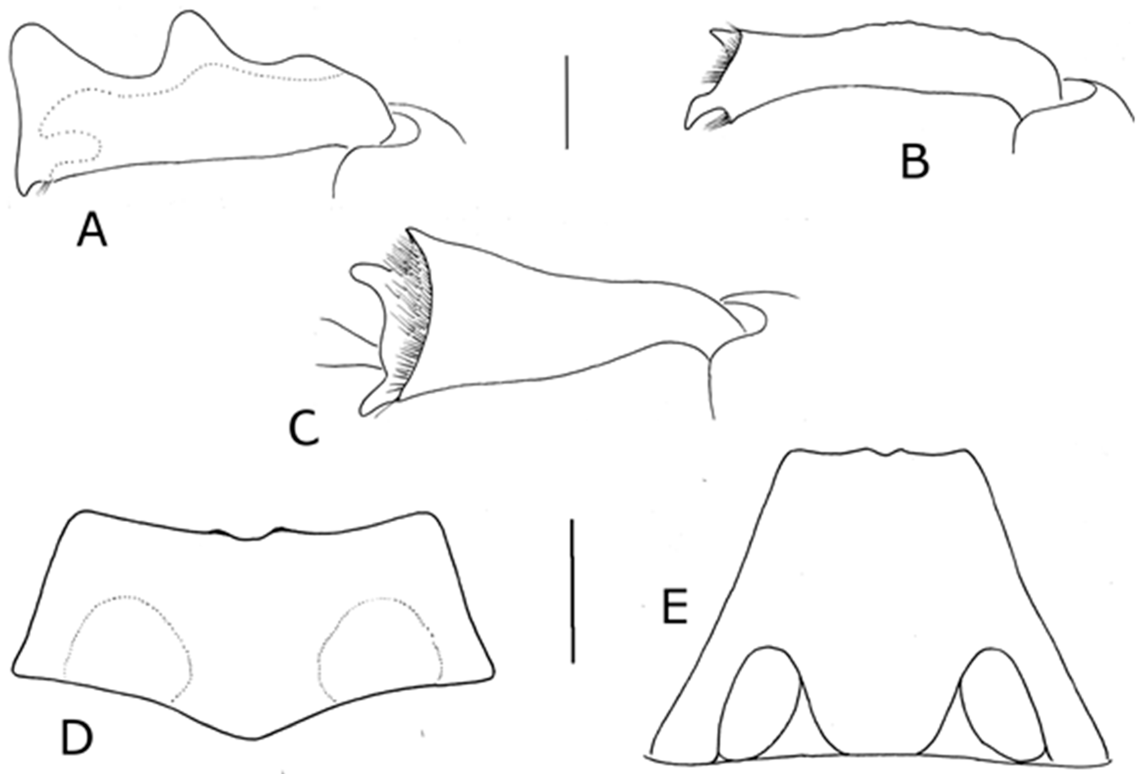 Diversity 10 00074 g012 550