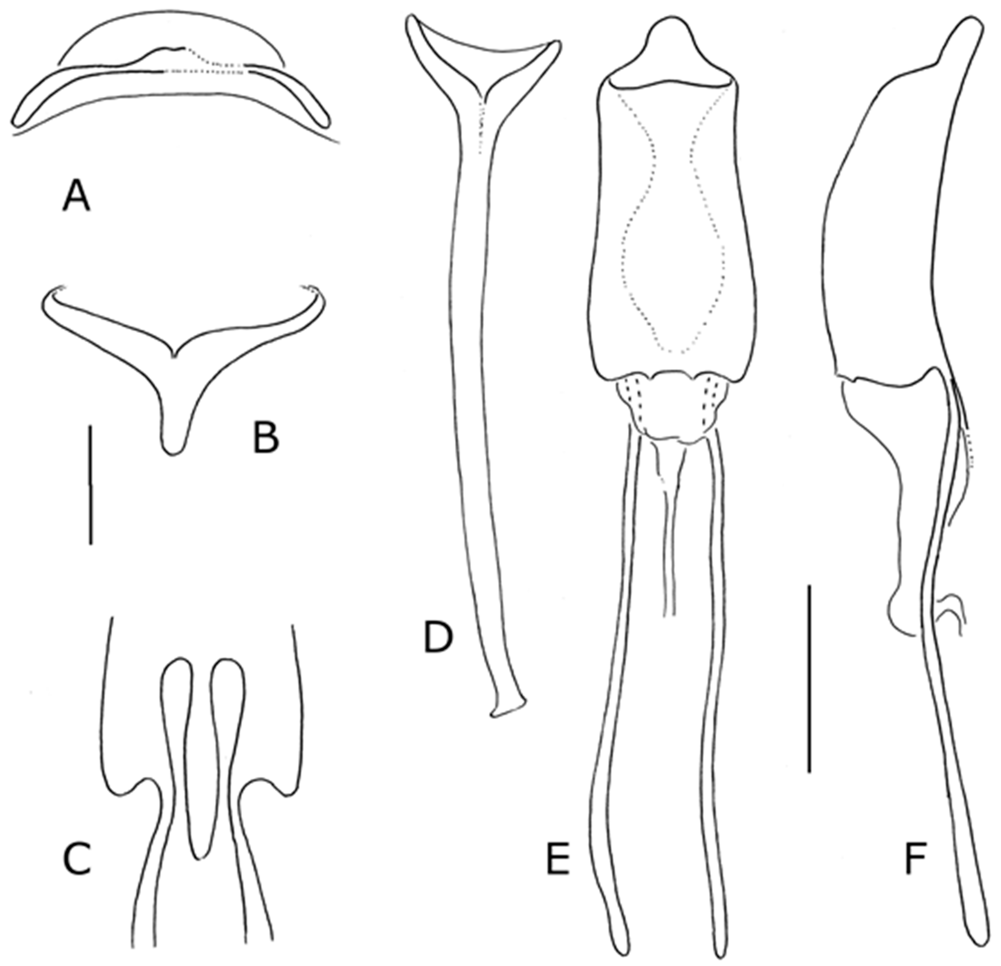 Diversity 10 00074 g022 550