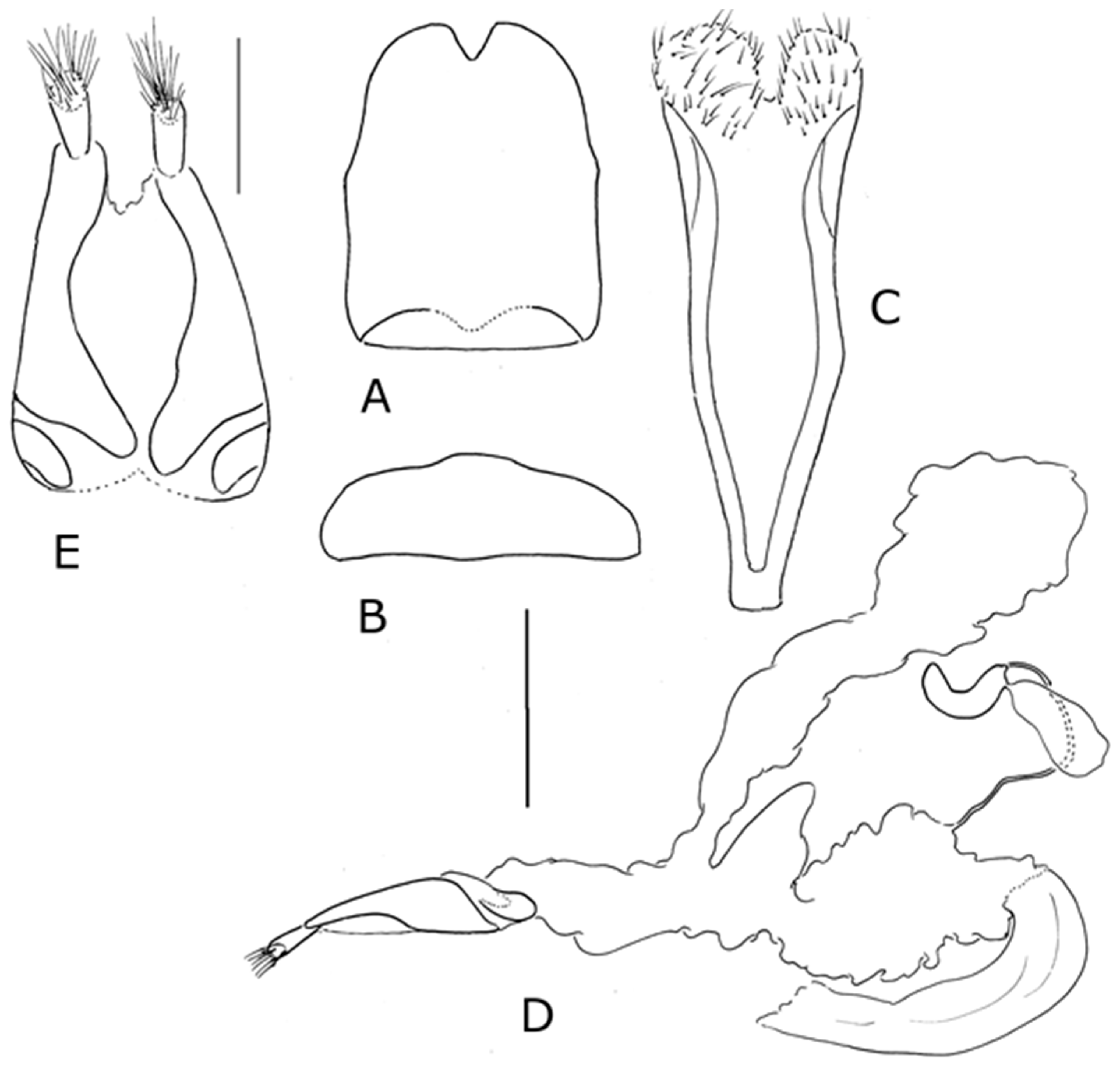Diversity 10 00074 g023 550