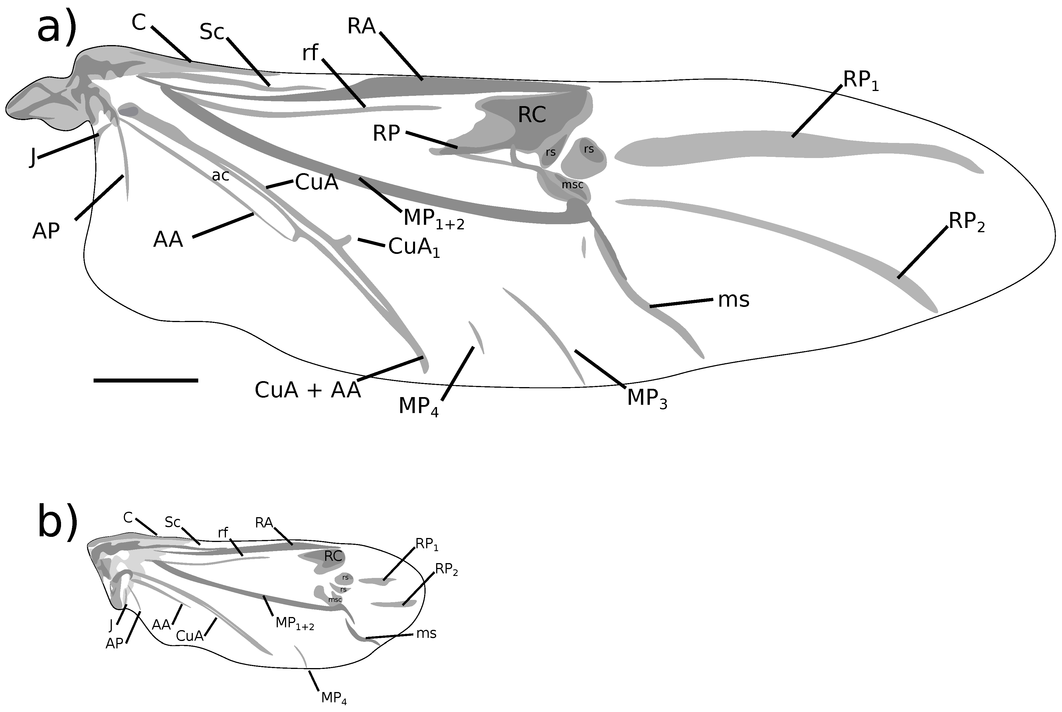 Diversity 10 00075 g003