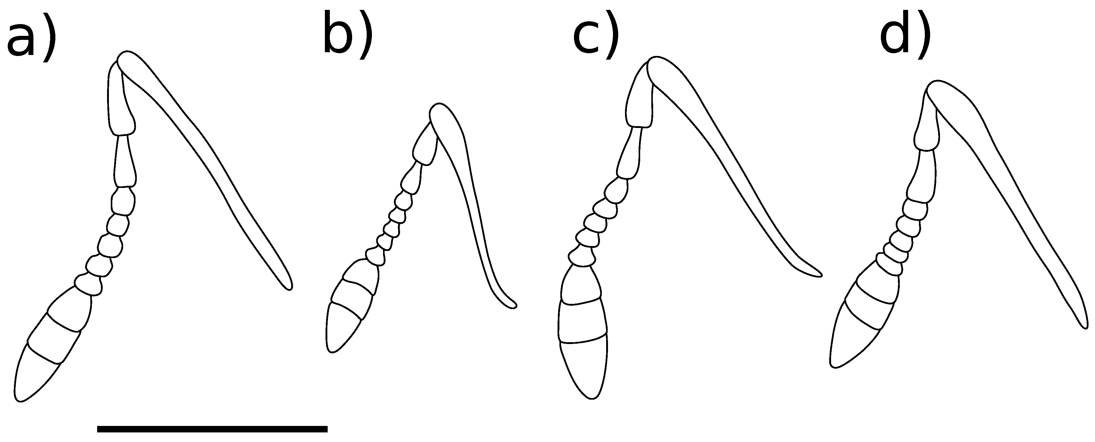 Diversity 10 00075 g004