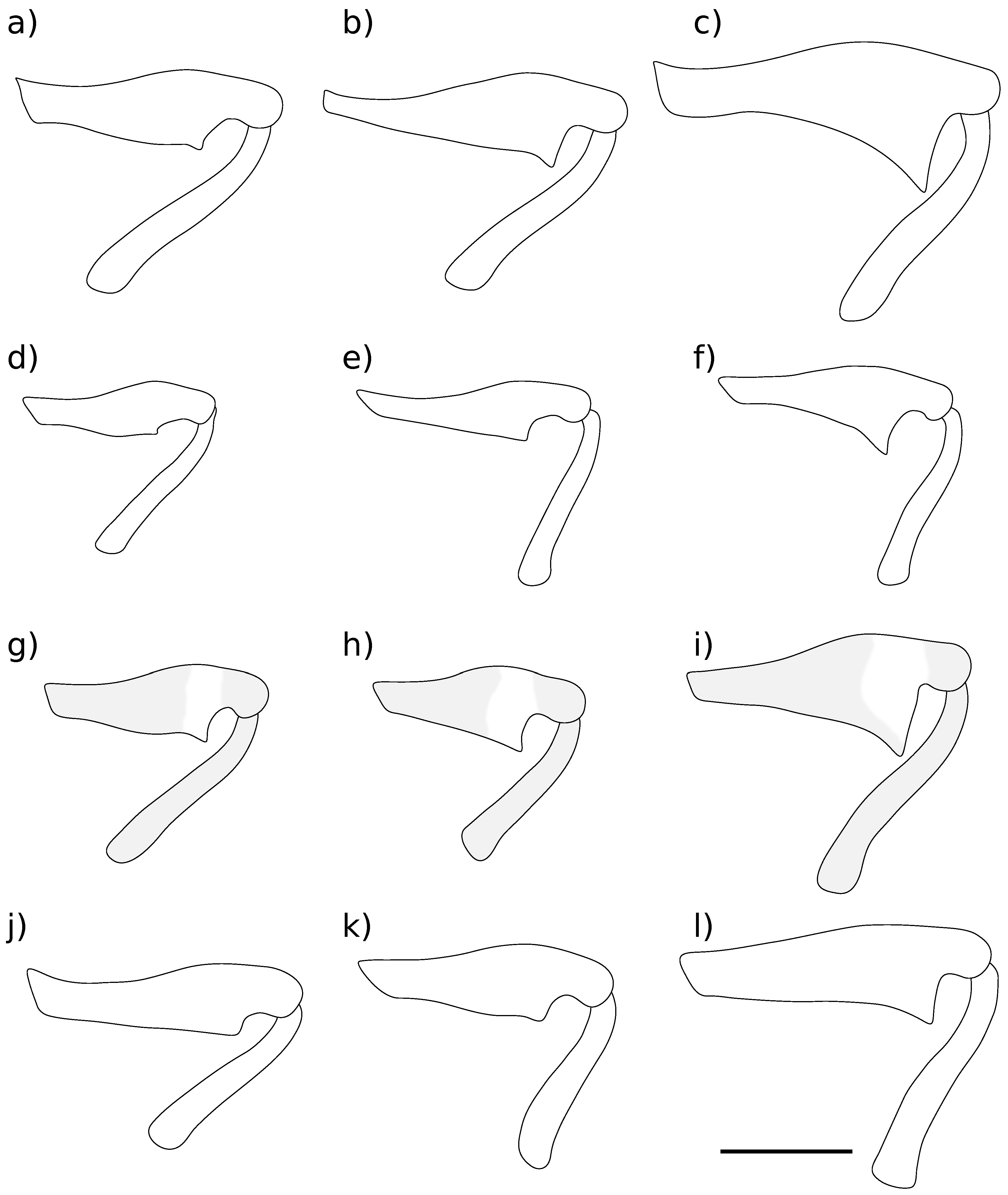 Diversity 10 00075 g005