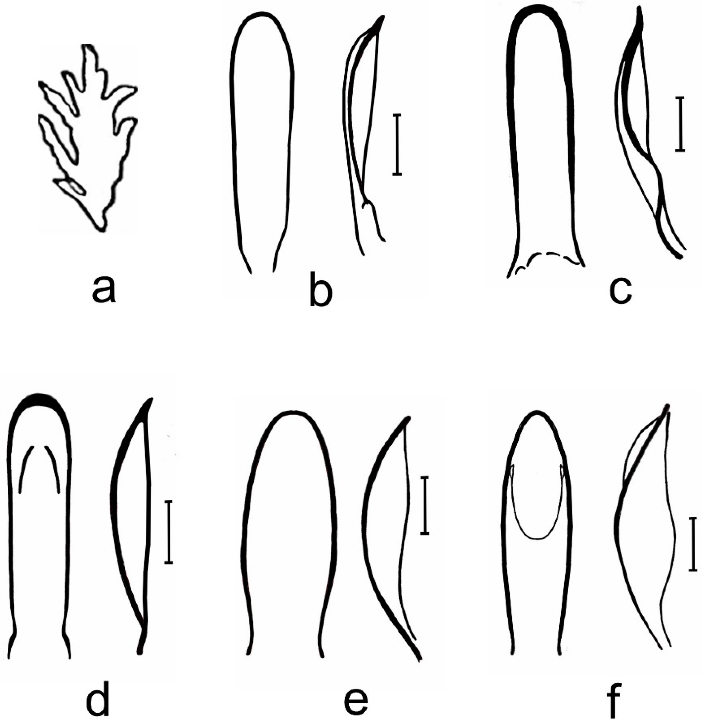 Diversity 10 00084 g004 550