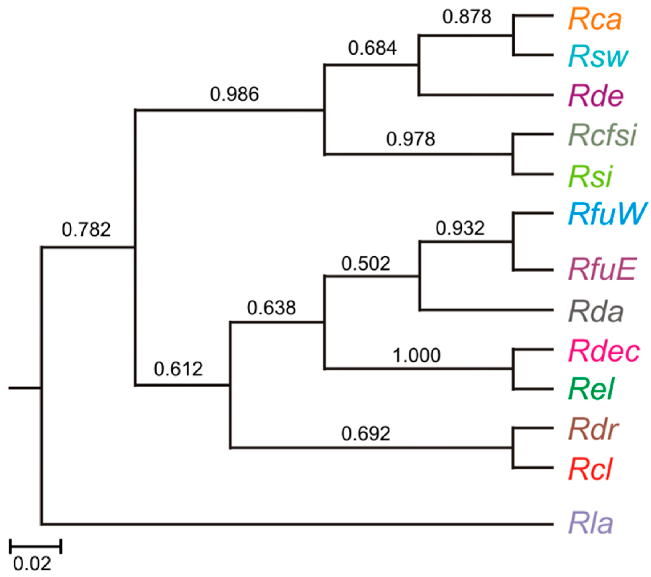 Diversity 10 00085 g002