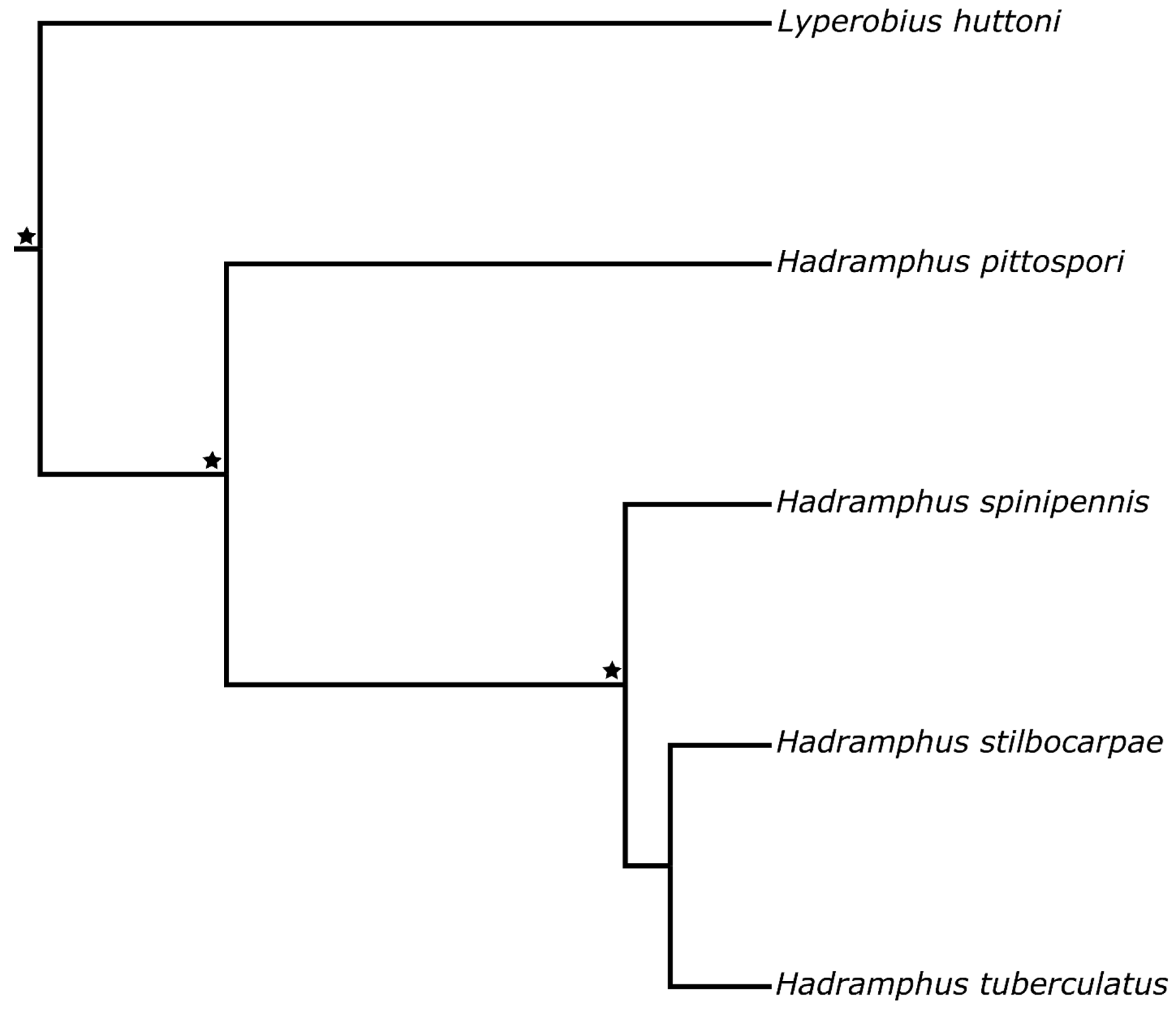 Diversity 10 00088 g002