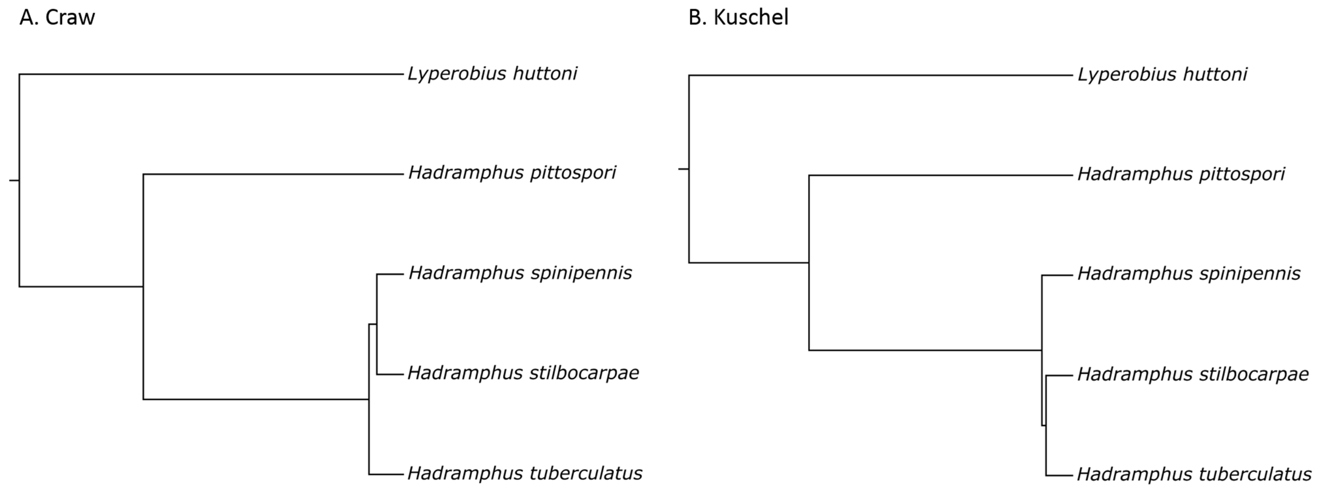 Diversity 10 00088 g003