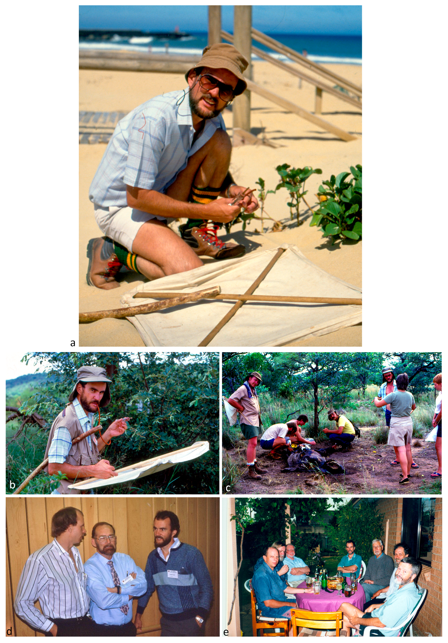 Diversity 10 00092 g005