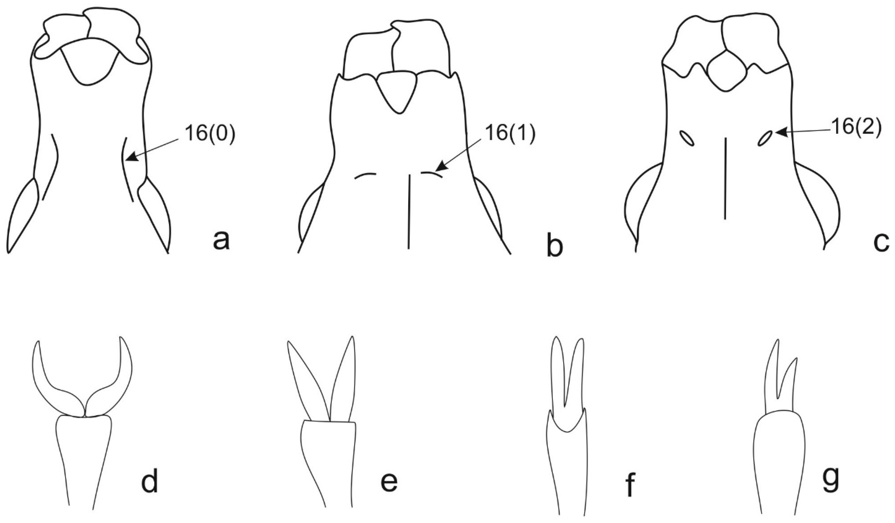 Diversity 10 00095 g004 Diversity 10 00095 g004
