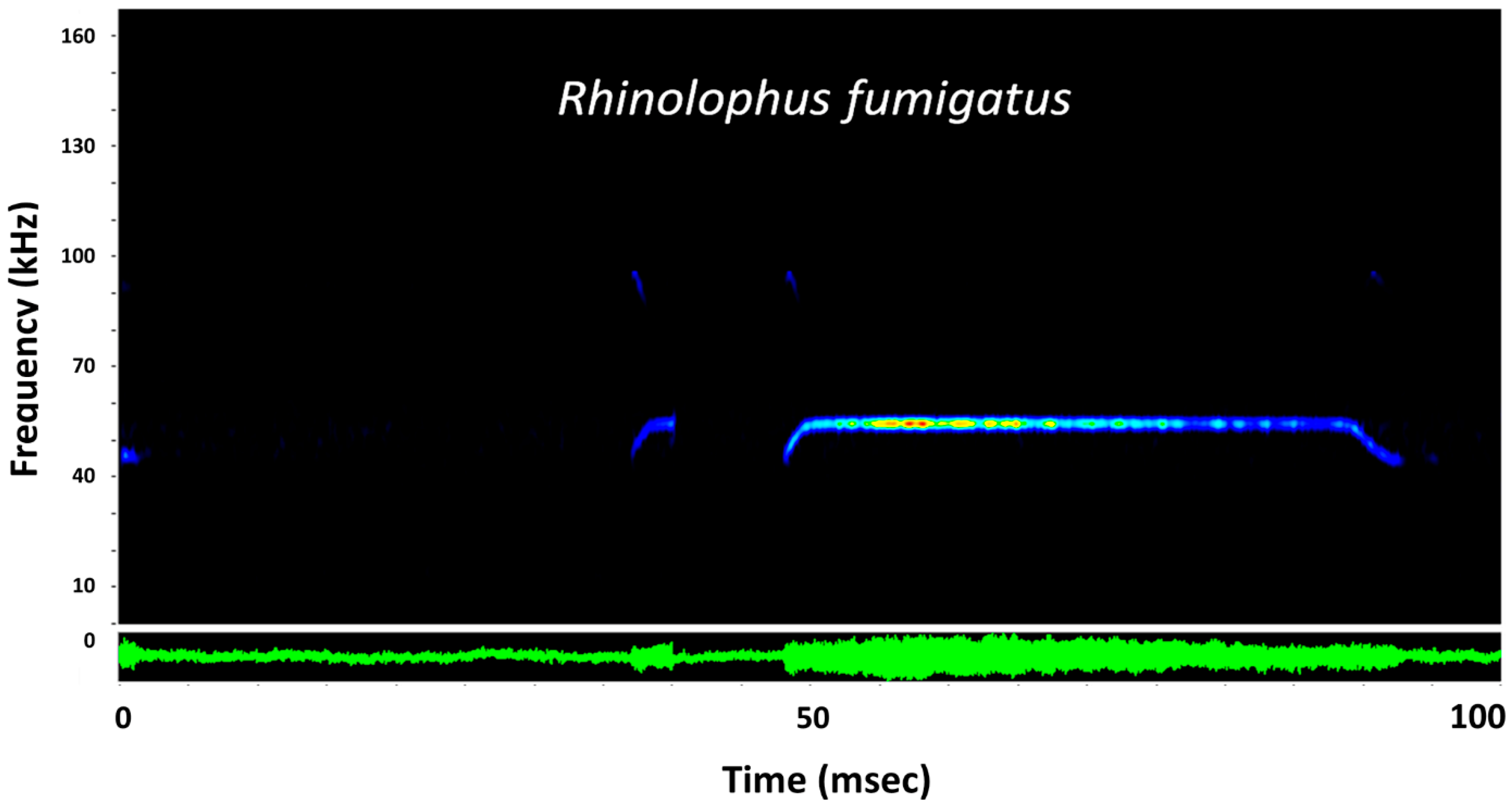 Diversity 10 00103 g002