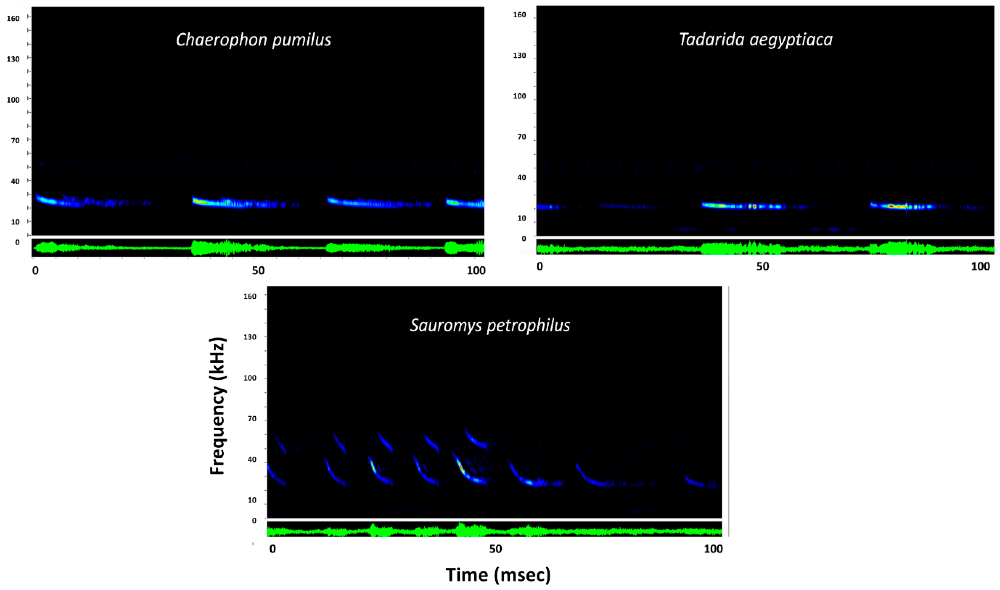 Diversity 10 00103 g003