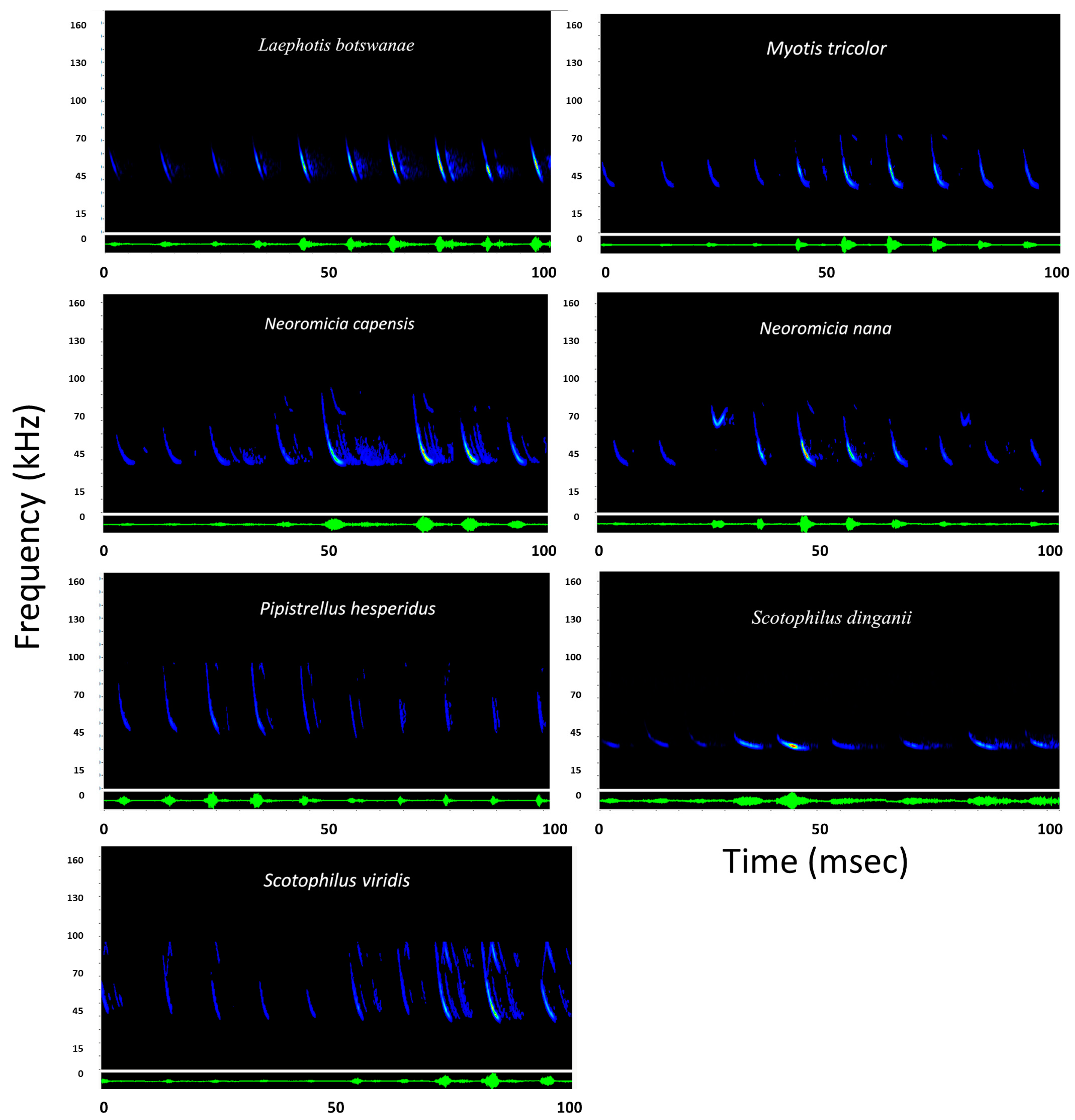 Diversity 10 00103 g005