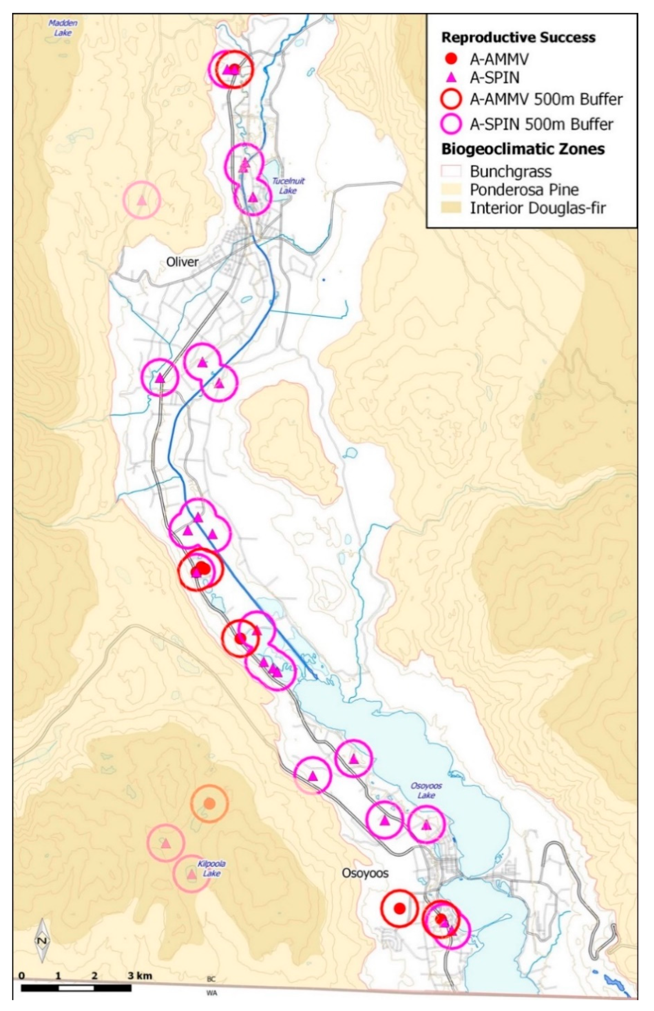 Diversity 10 00108 g001