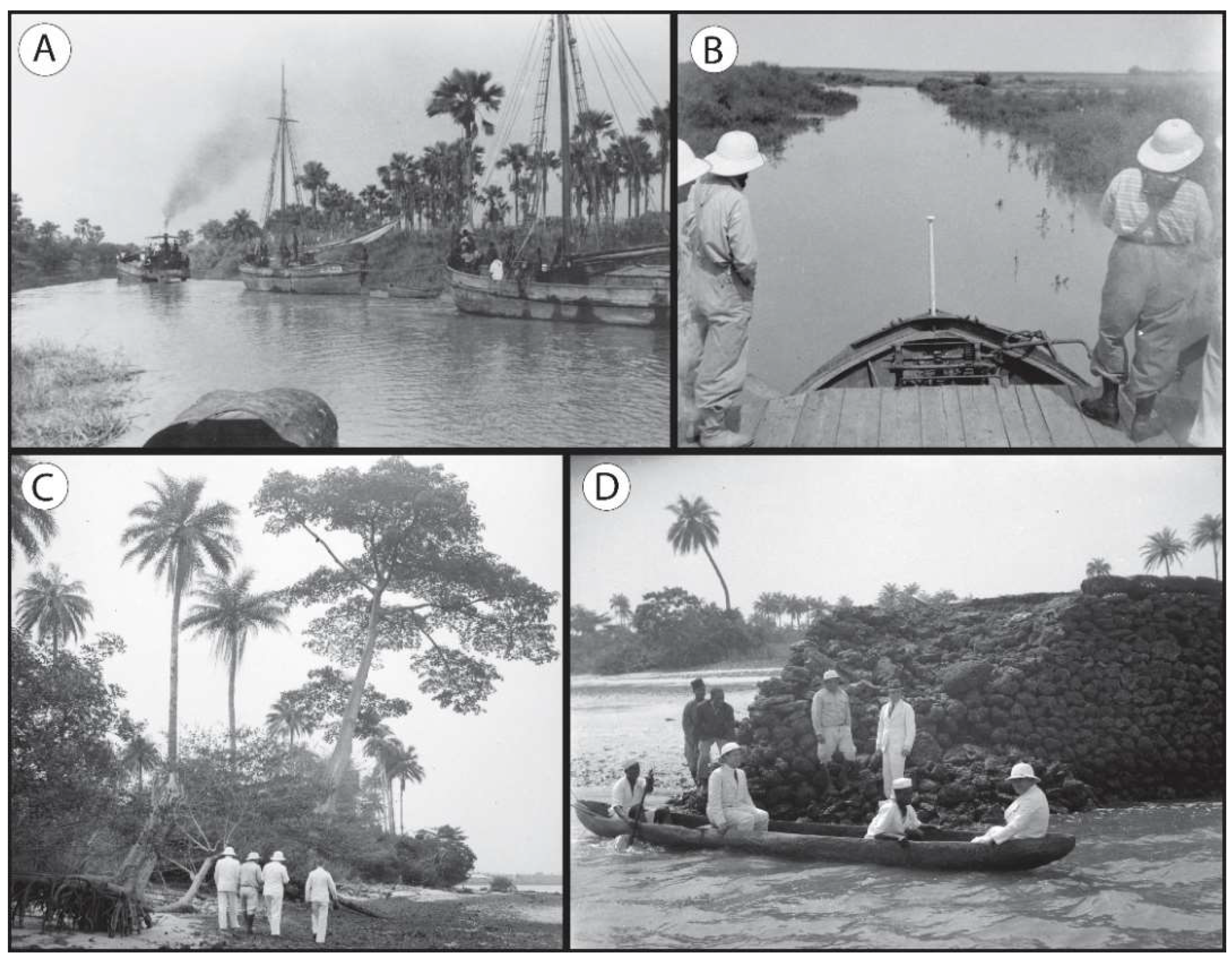 Diversity 10 00109 g004