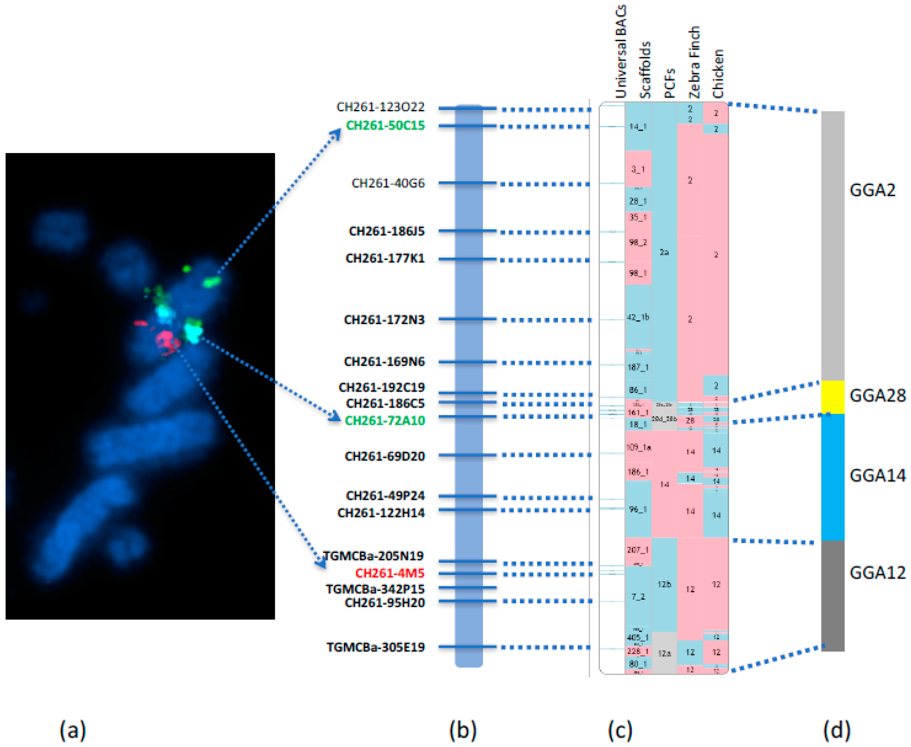 Diversity 10 00113 g004