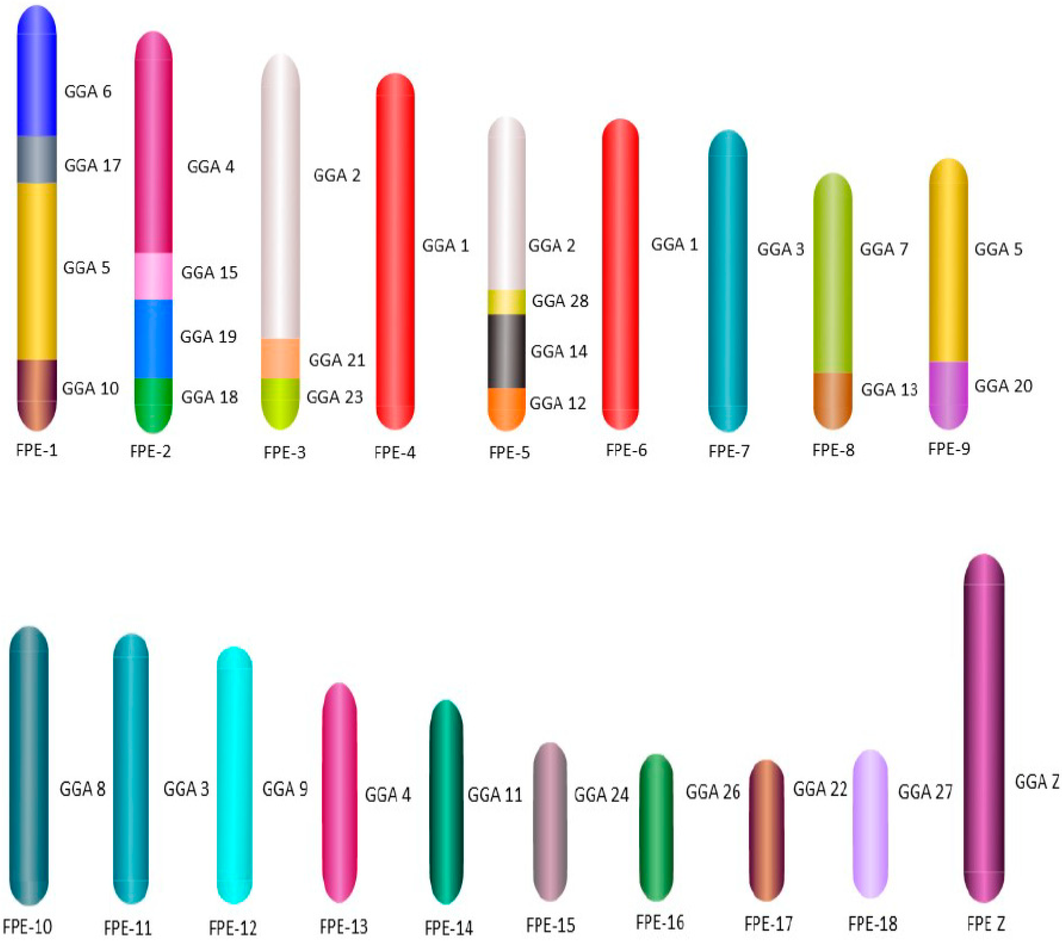 Diversity 10 00113 g005