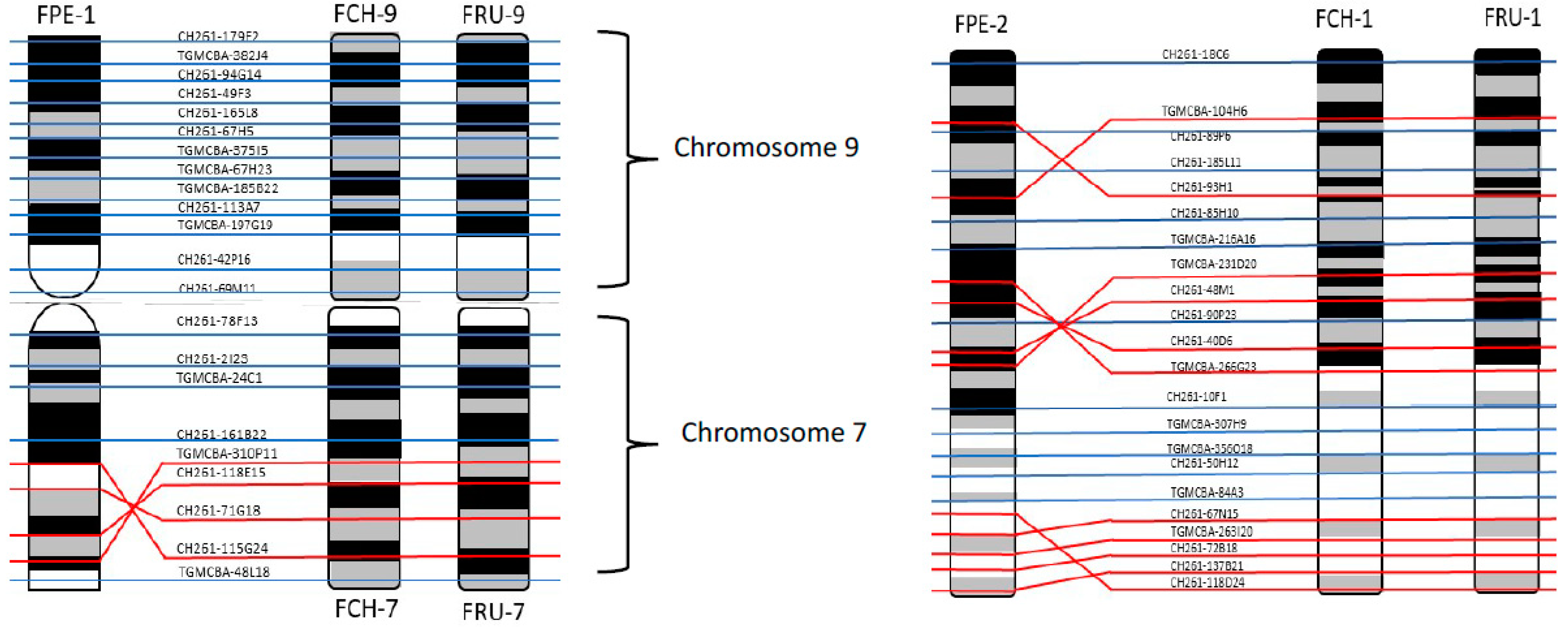 Diversity 10 00113 g007