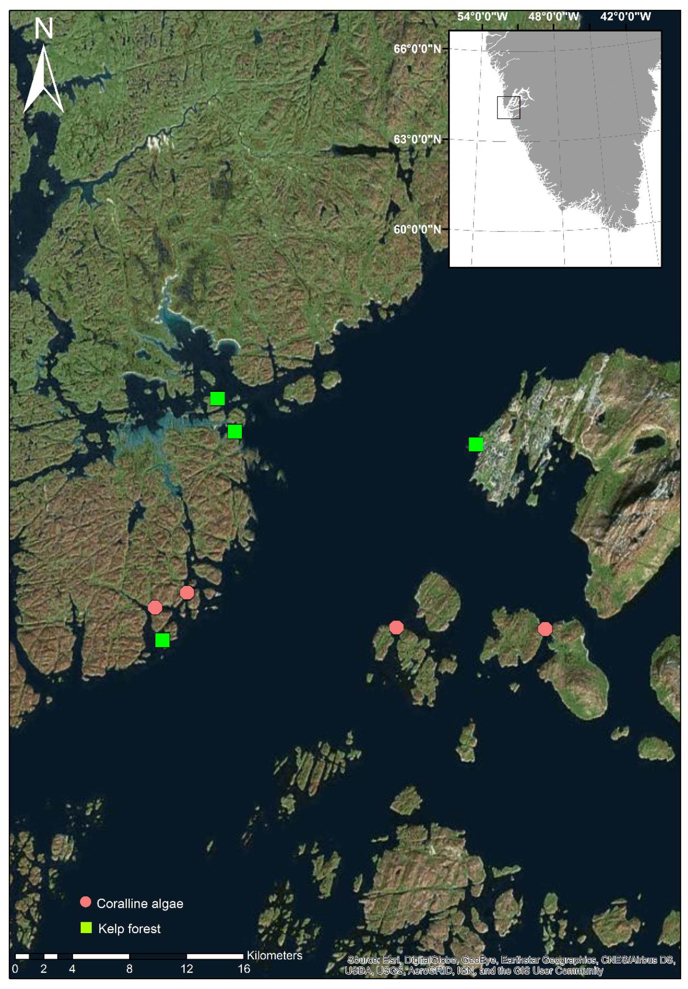 Diversity 10 00117 g001