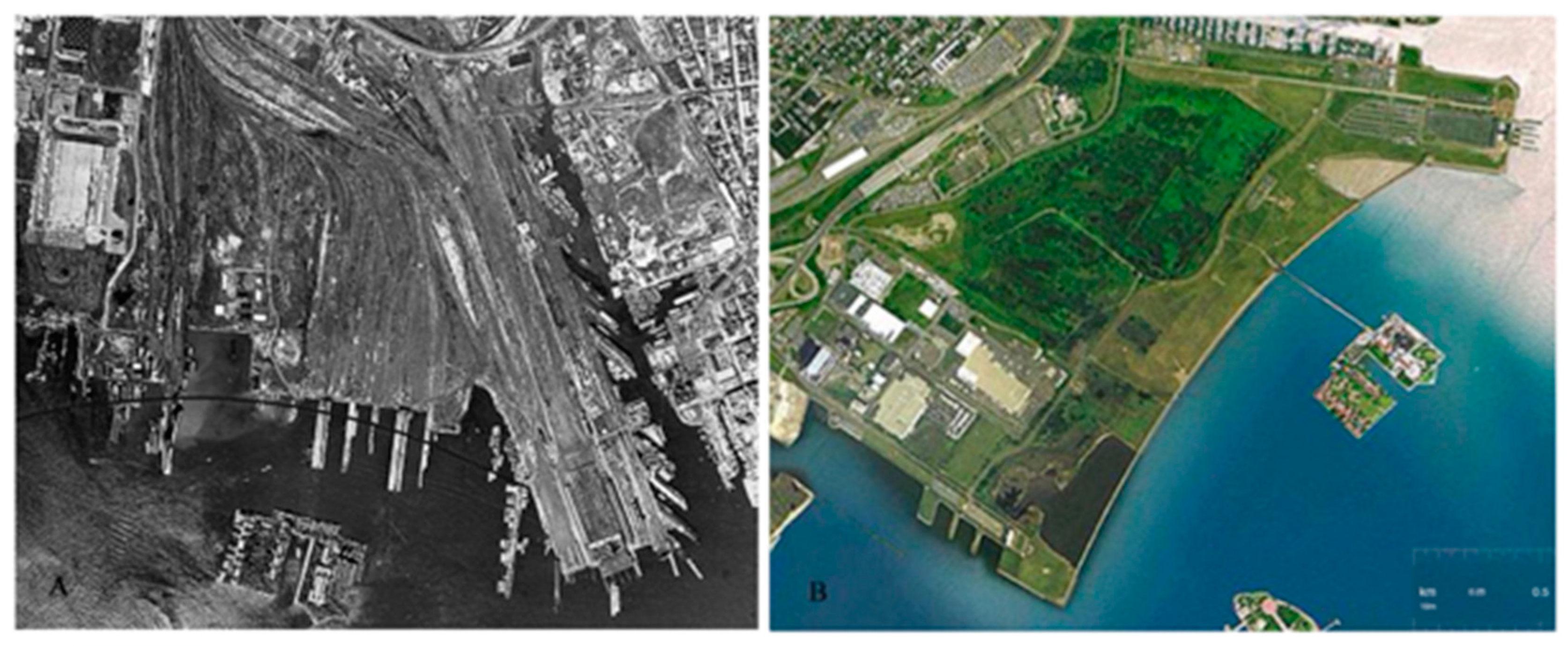 Diversity 10 00119 g001 Diversity 10 00119 g001