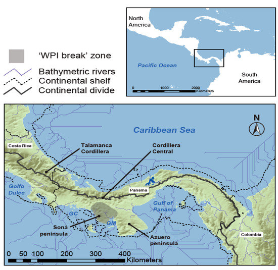 Testing Hypotheses of Diversification in Panamanian Frogs