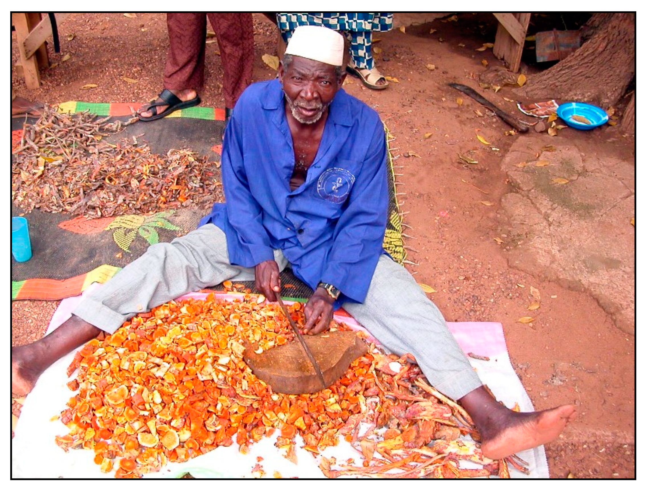 Diversity 10 00123 g007 Diversity 10 00123 g007