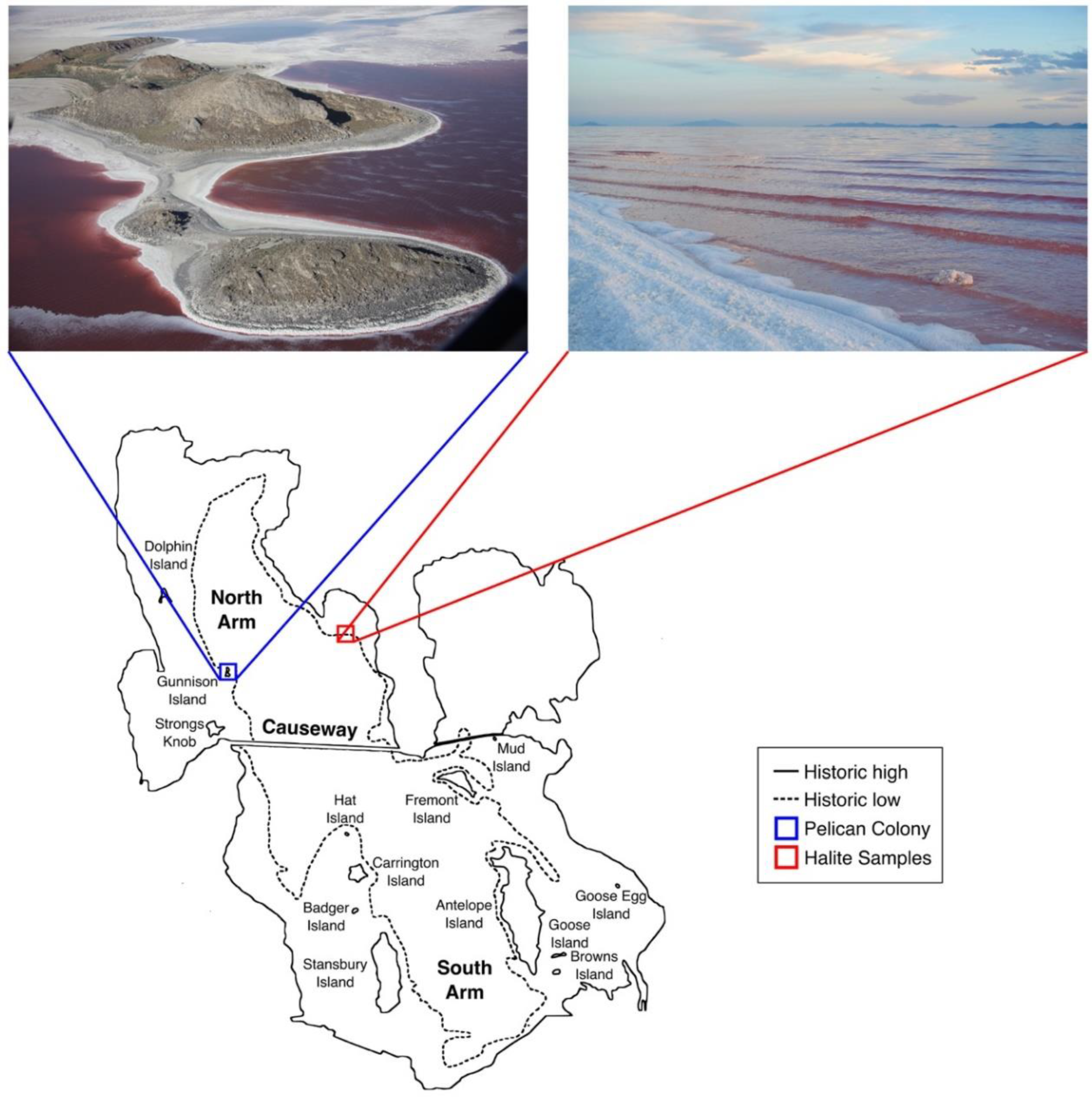 Diversity 10 00124 g001