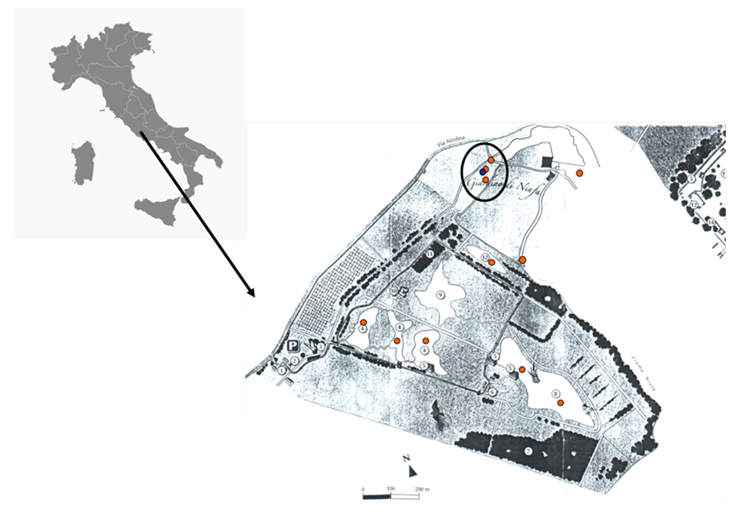 Diversity 10 00126 g001 Diversity 10 00126 g001