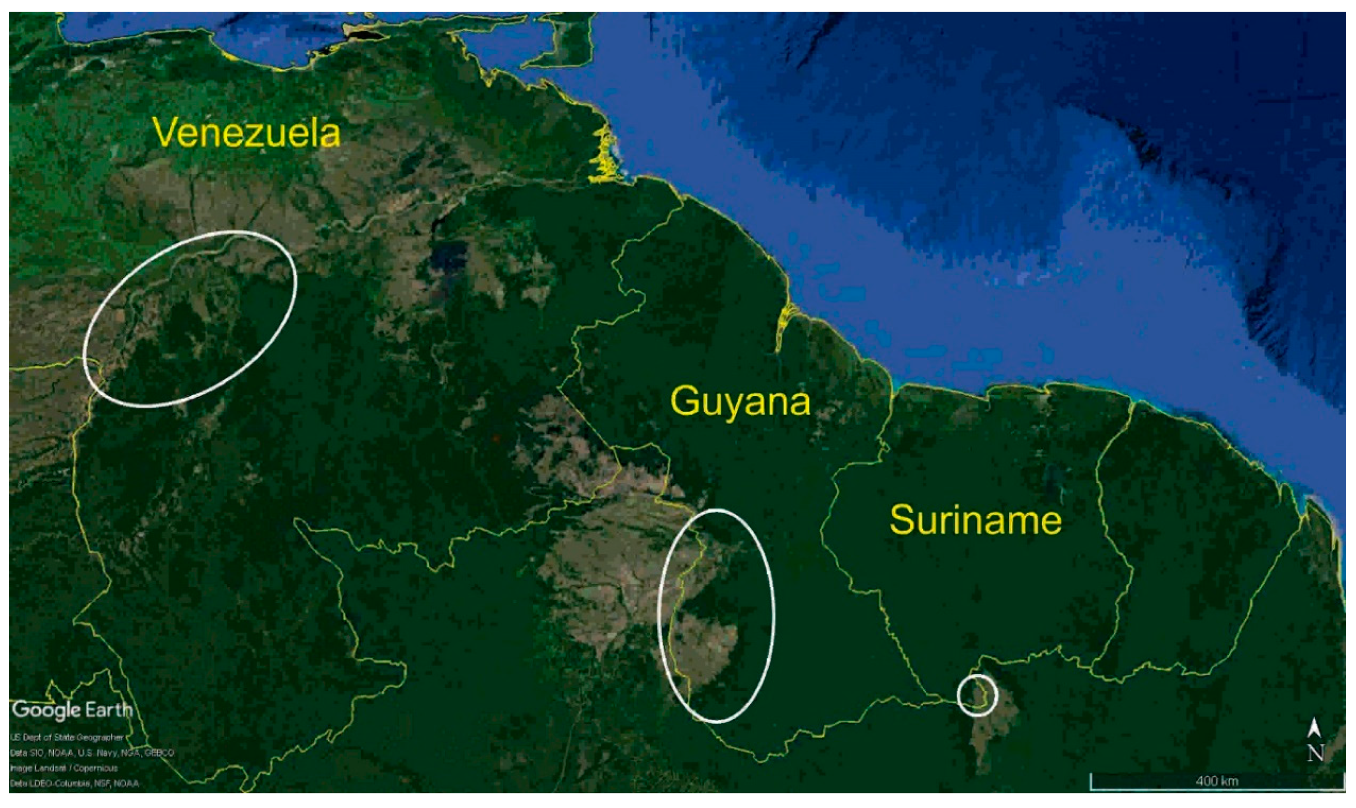 Diversity Free Full Text Community Ecology And Phylogeography Of Bats In The Guianan Savannas Of Northern South America Html