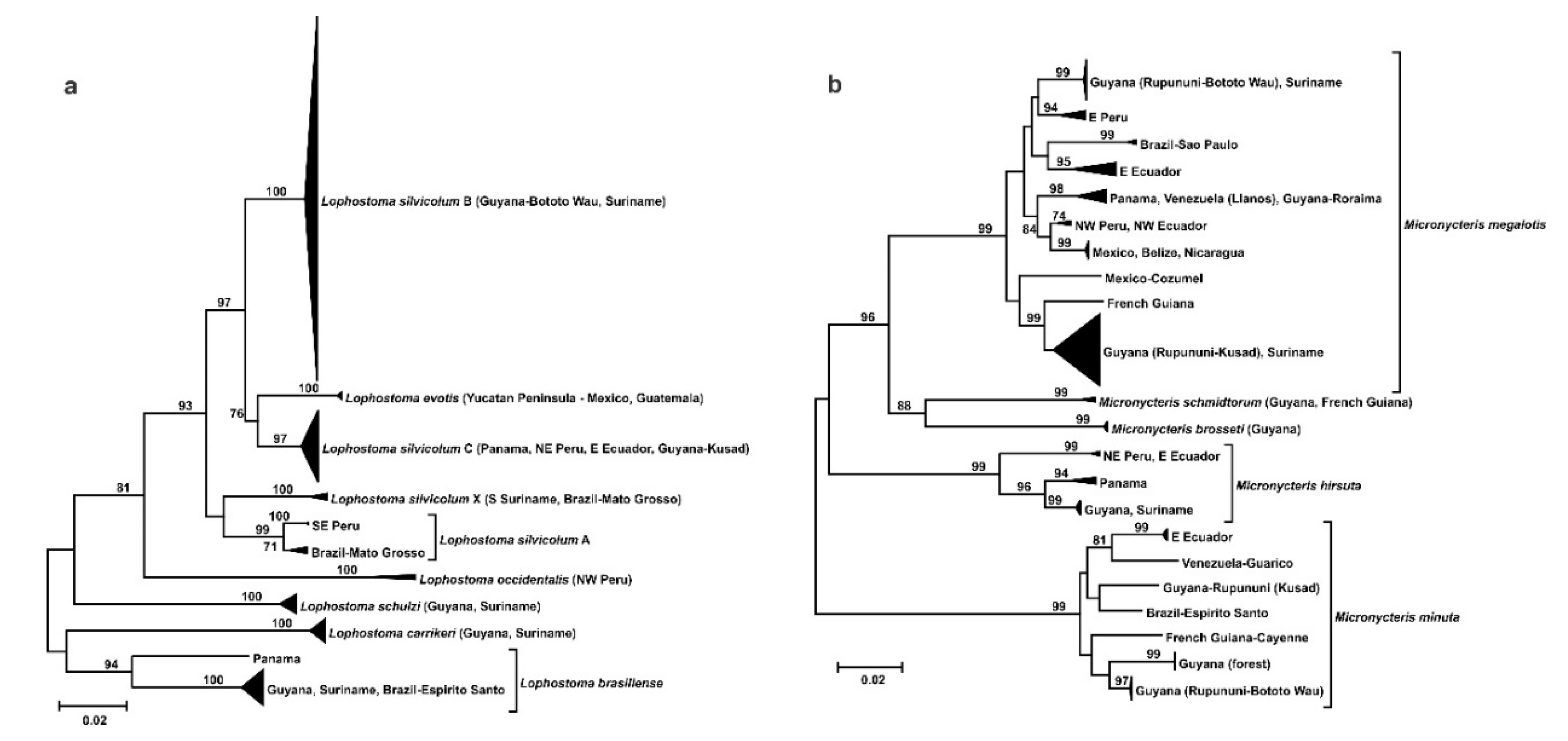 Diversity Free Full Text Community Ecology And Phylogeography Of Bats In The Guianan Savannas Of Northern South America