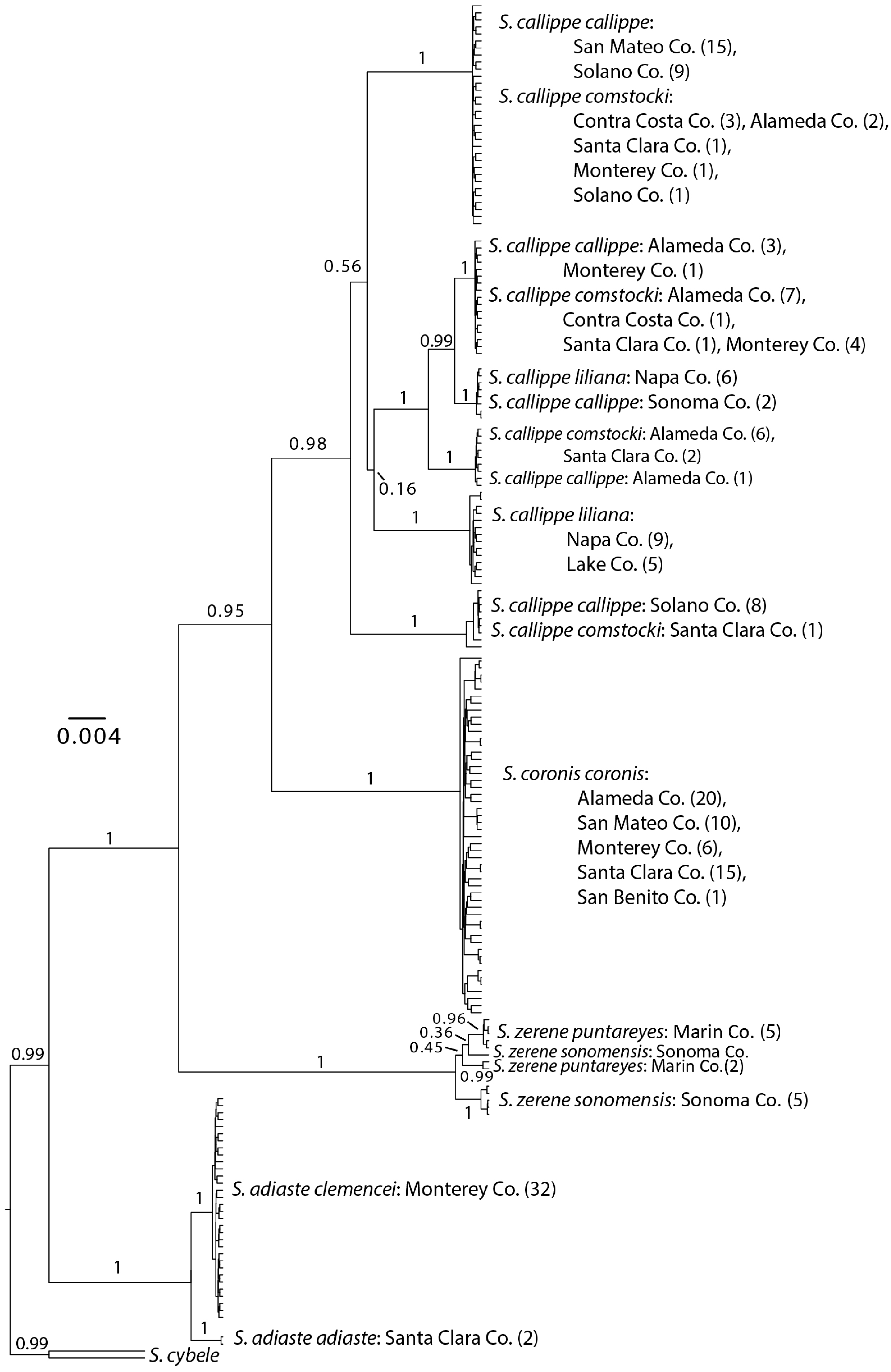 Diversity 10 00130 g002 Diversity 10 00130 g002