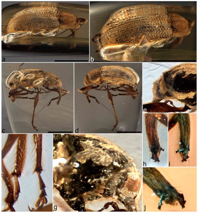 Diversity 11 00001 g090