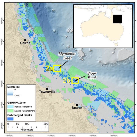 PDF) Latitudinal patterns in trophic structure of temperate reef