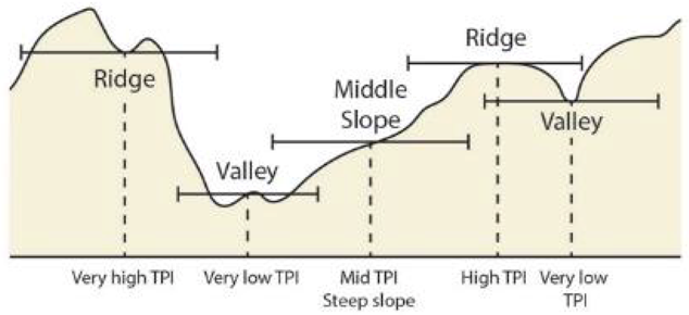 Diversity 11 00026 i001 Diversity 11 00026 i001