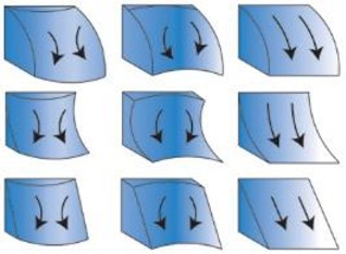 Diversity 11 00026 i002 Diversity 11 00026 i002