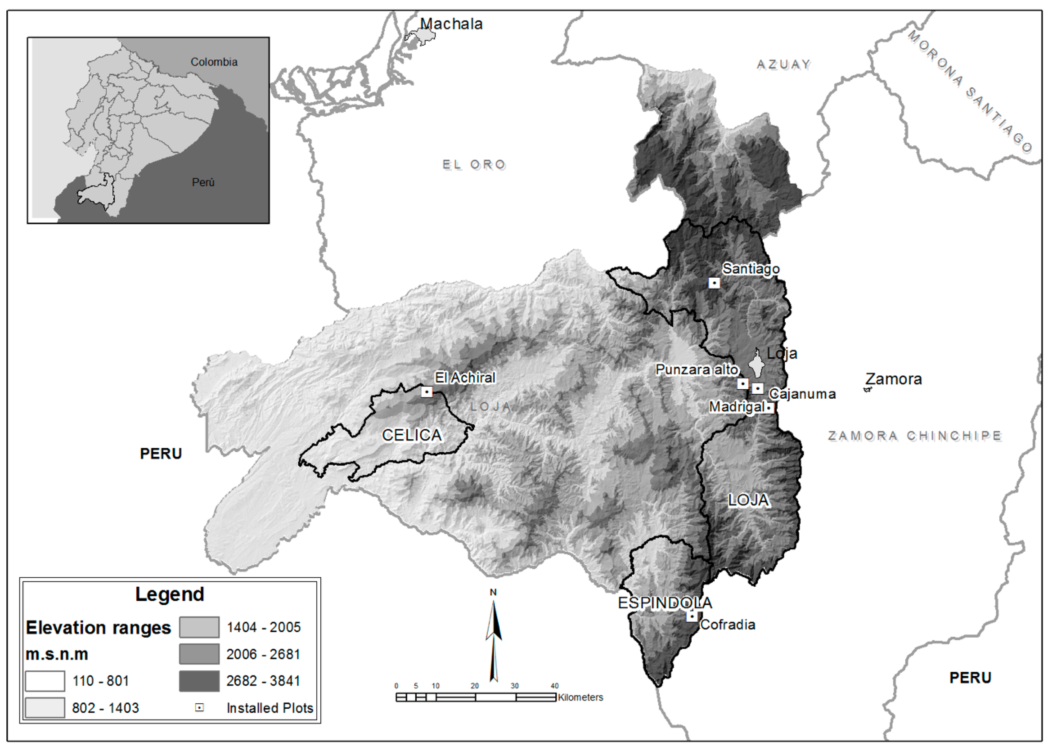 Diversity 11 00032 g001