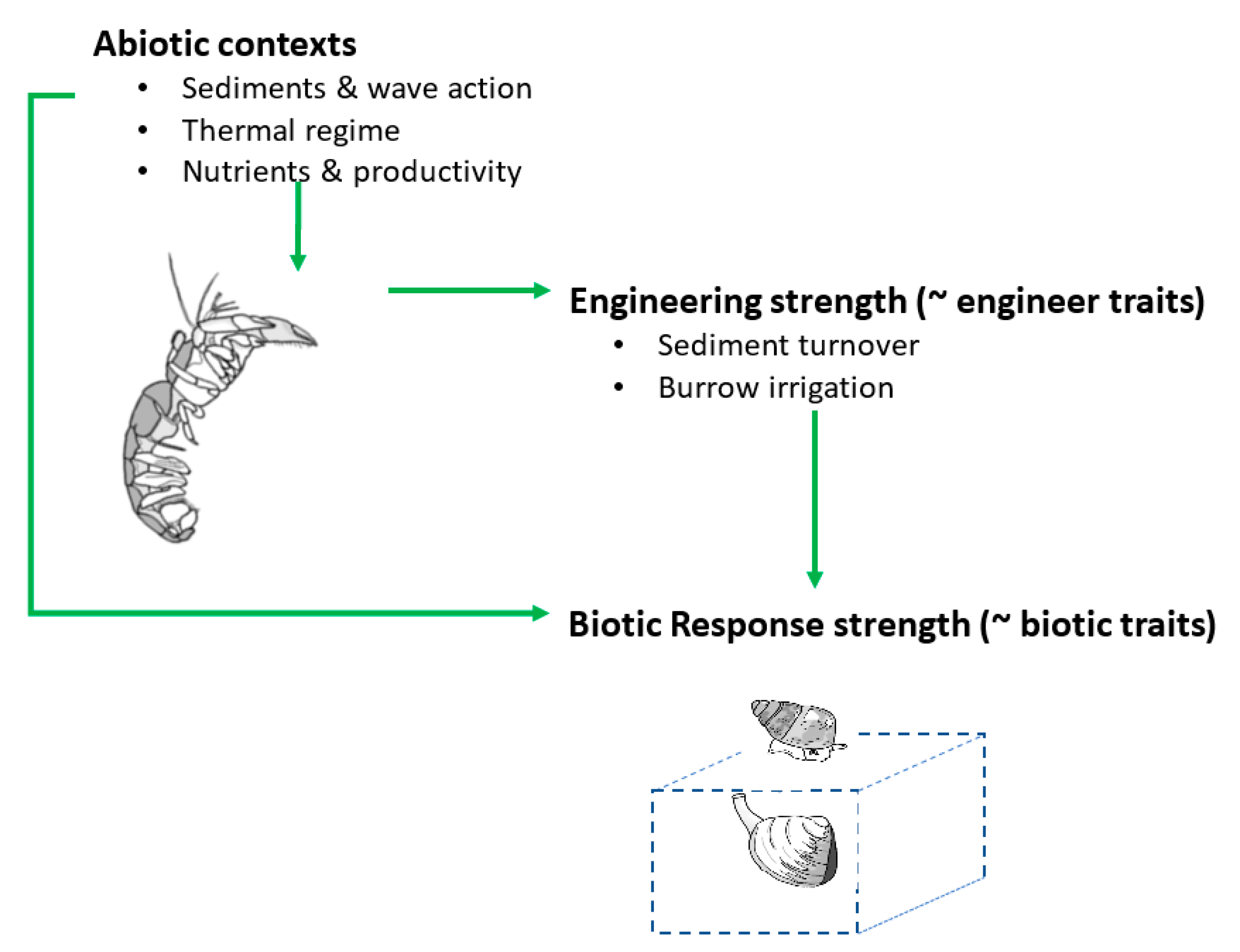 Diversity 11 00064 g002 Diversity 11 00064 g002