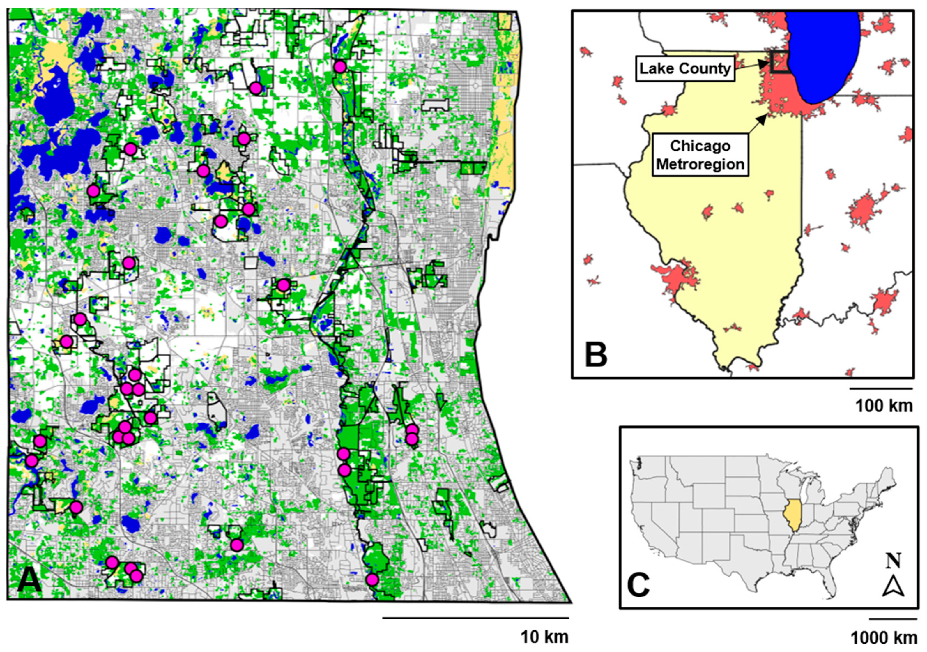 Diversity 11 00072 g002