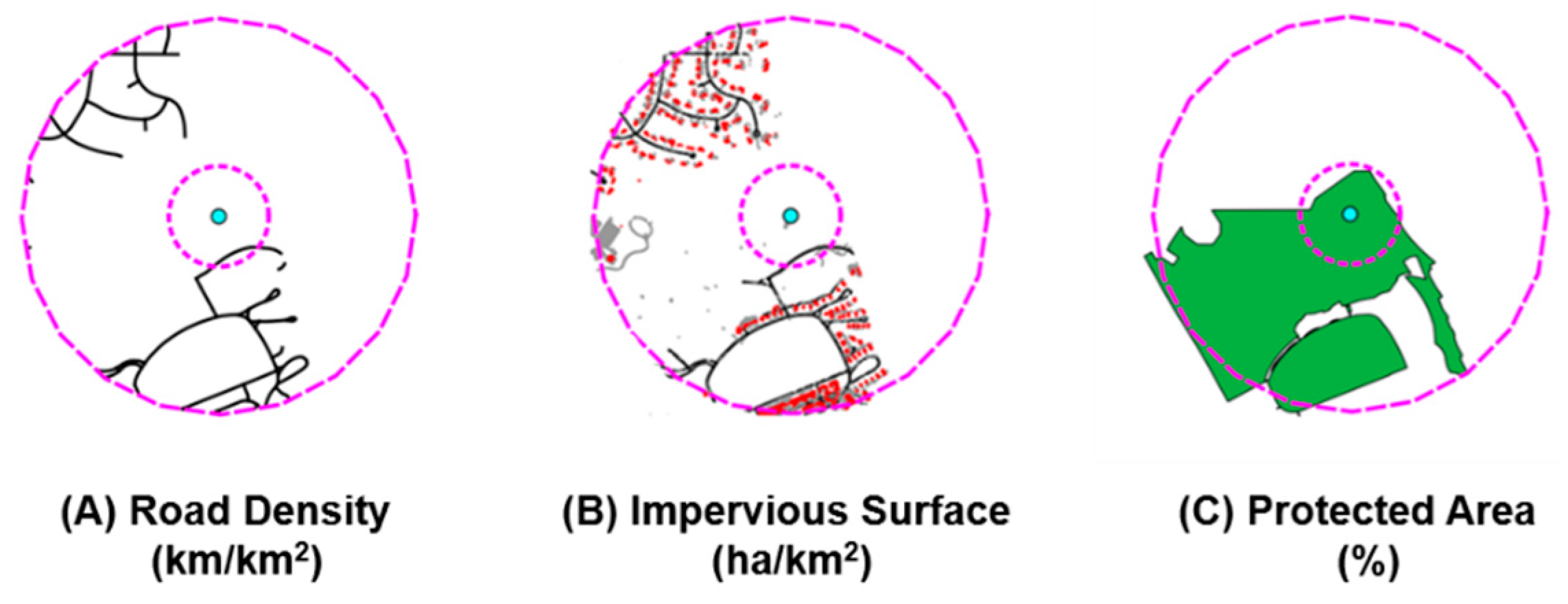 Diversity 11 00072 g003