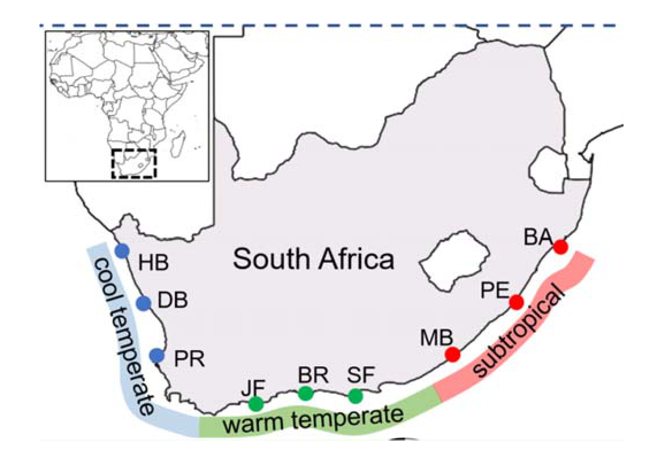 Diversity 11 00075 g001 Diversity 11 00075 g001