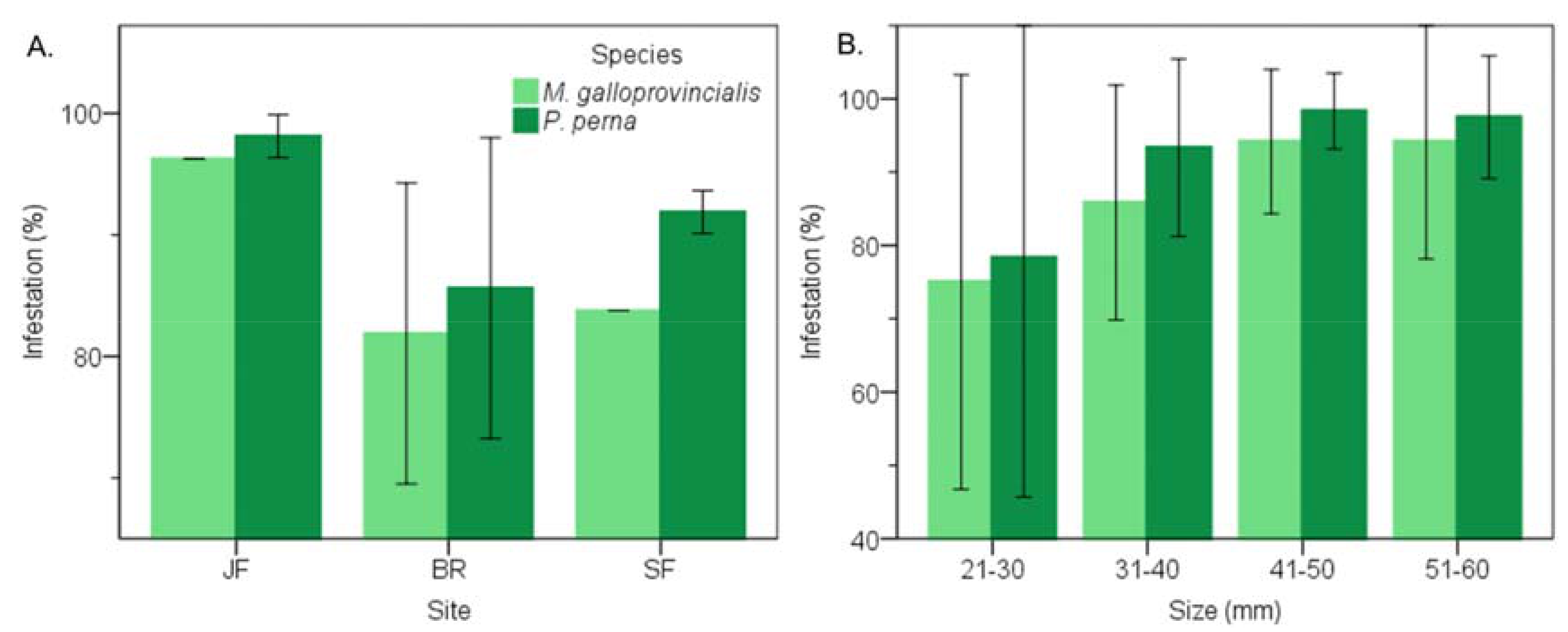 Diversity 11 00075 g005 Diversity 11 00075 g005
