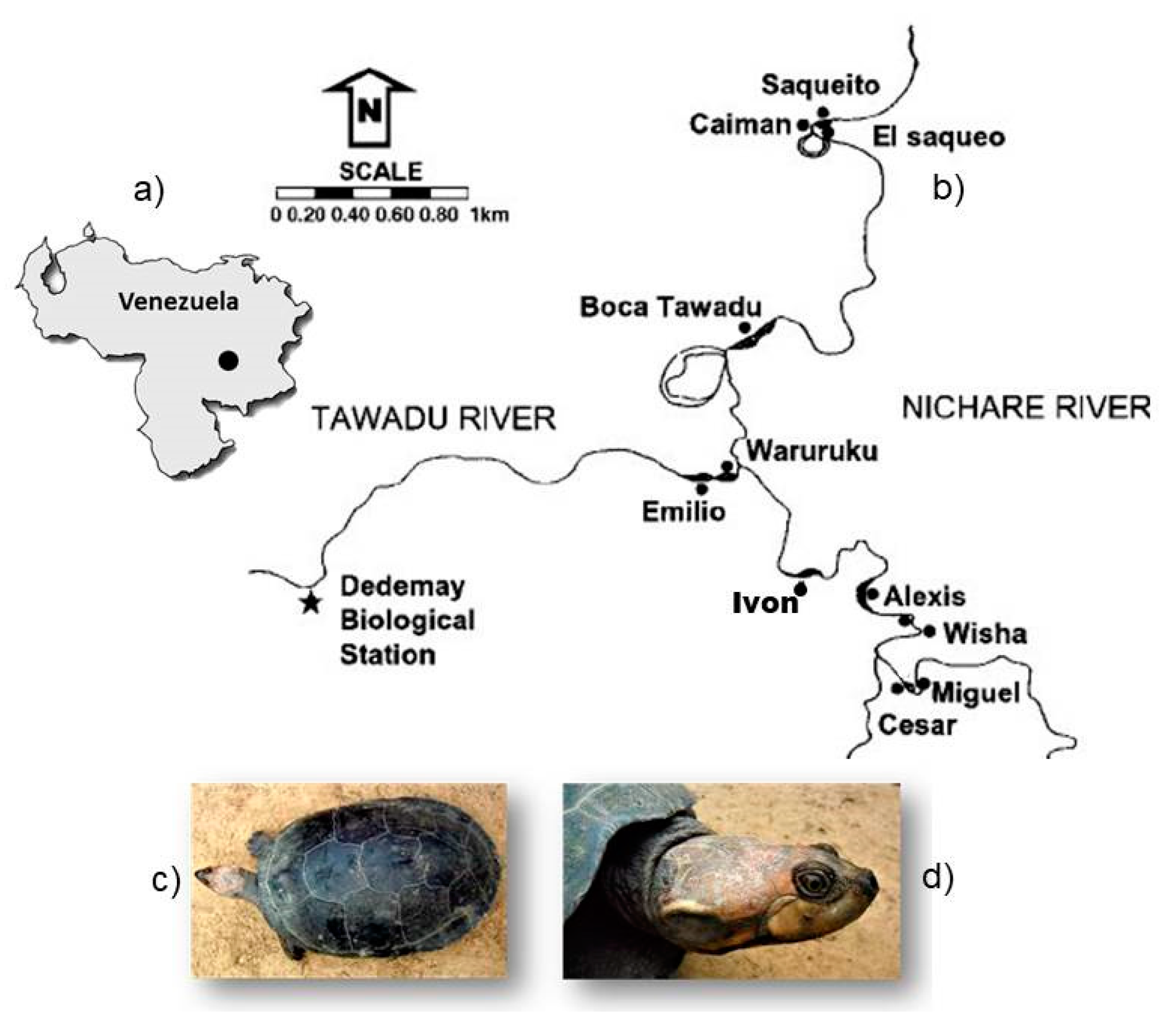 Diversity 11 00078 g001 Diversity 11 00078 g001