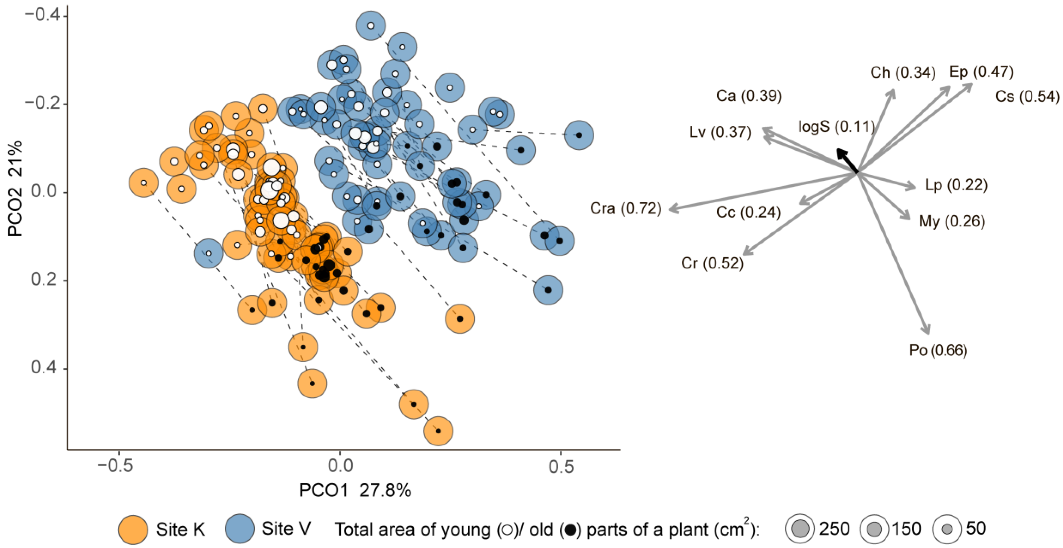 Diversity 11 00080 g002