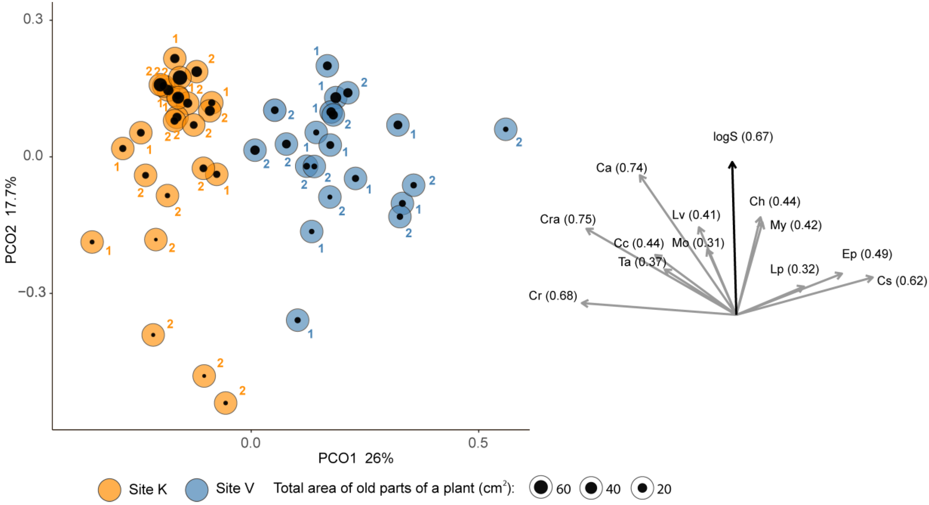 Diversity 11 00080 g004