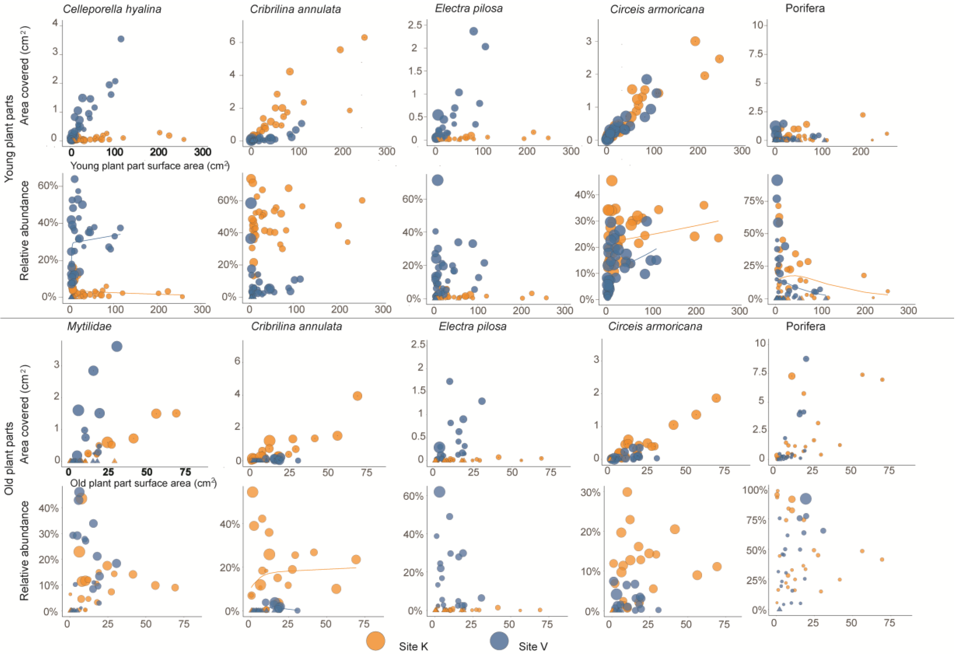 Diversity 11 00080 g006