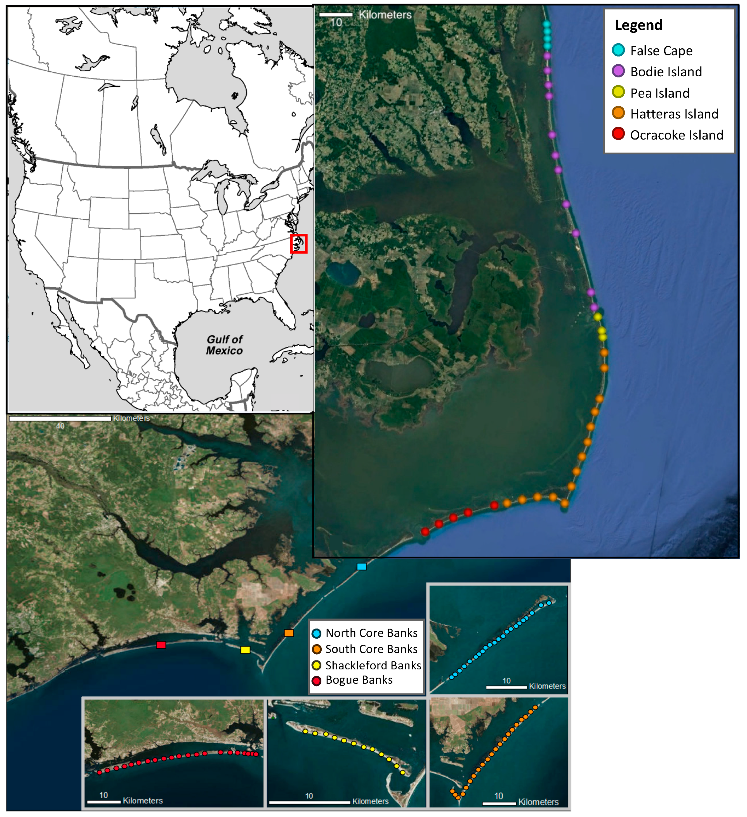 Diversity 11 00082 g002