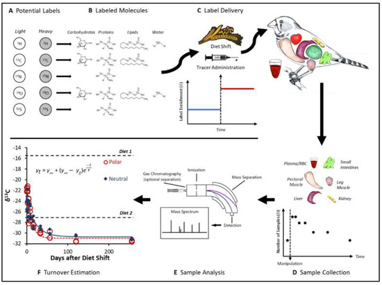 Fish scale stable isotopes as potential indicators of nutrient