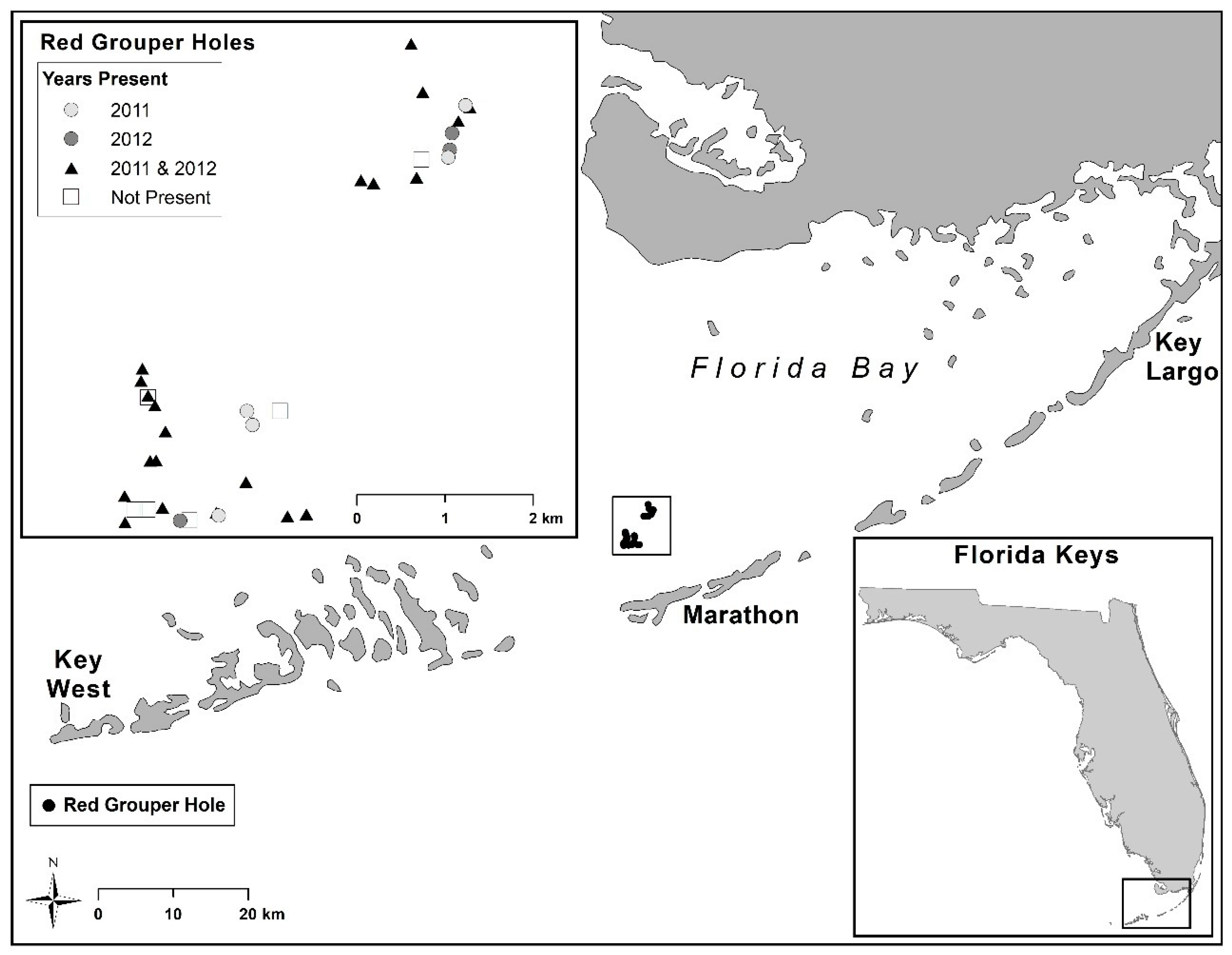 Diversity 11 00089 g001