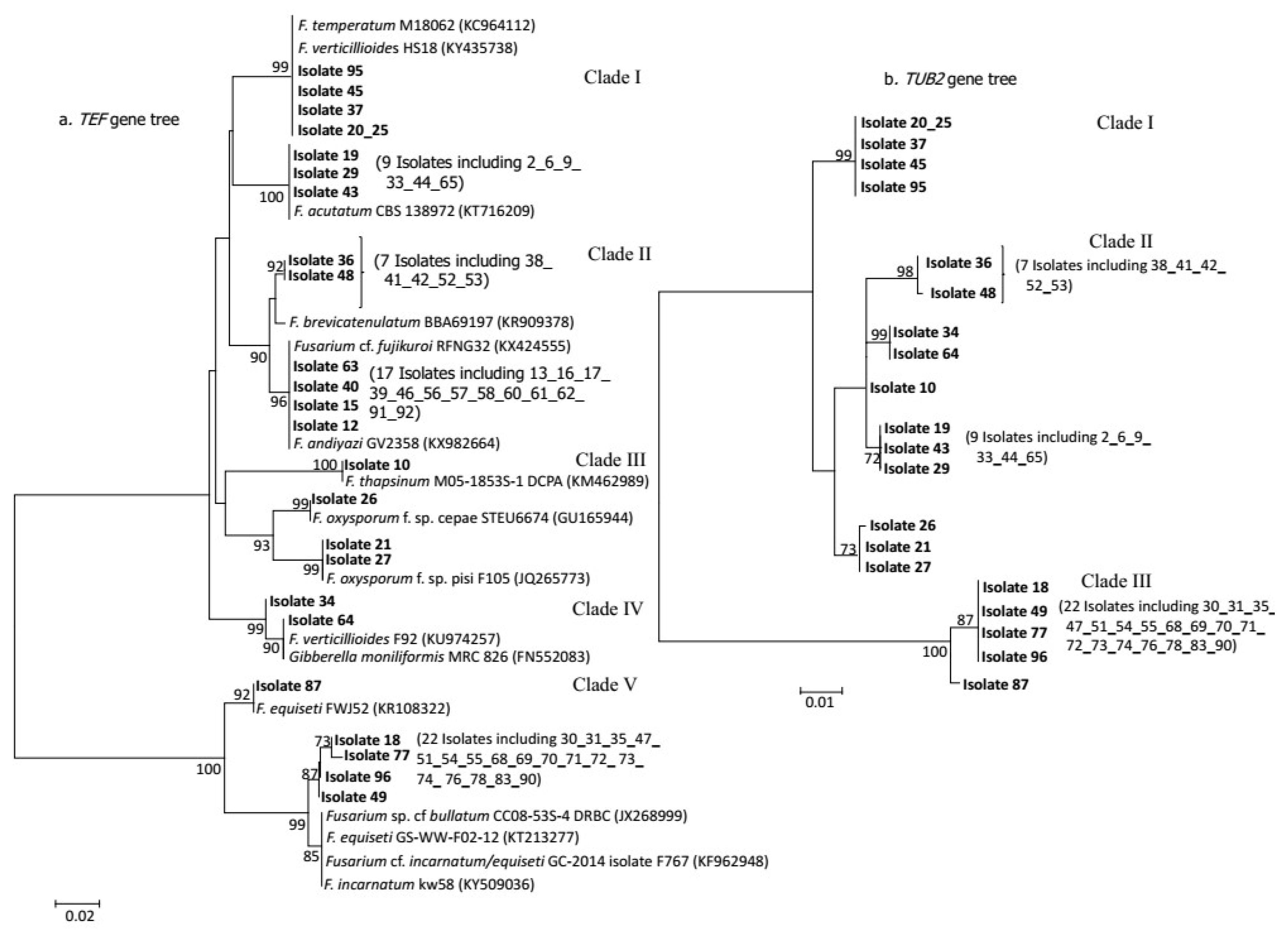 Diversity 11 00093 g001 550